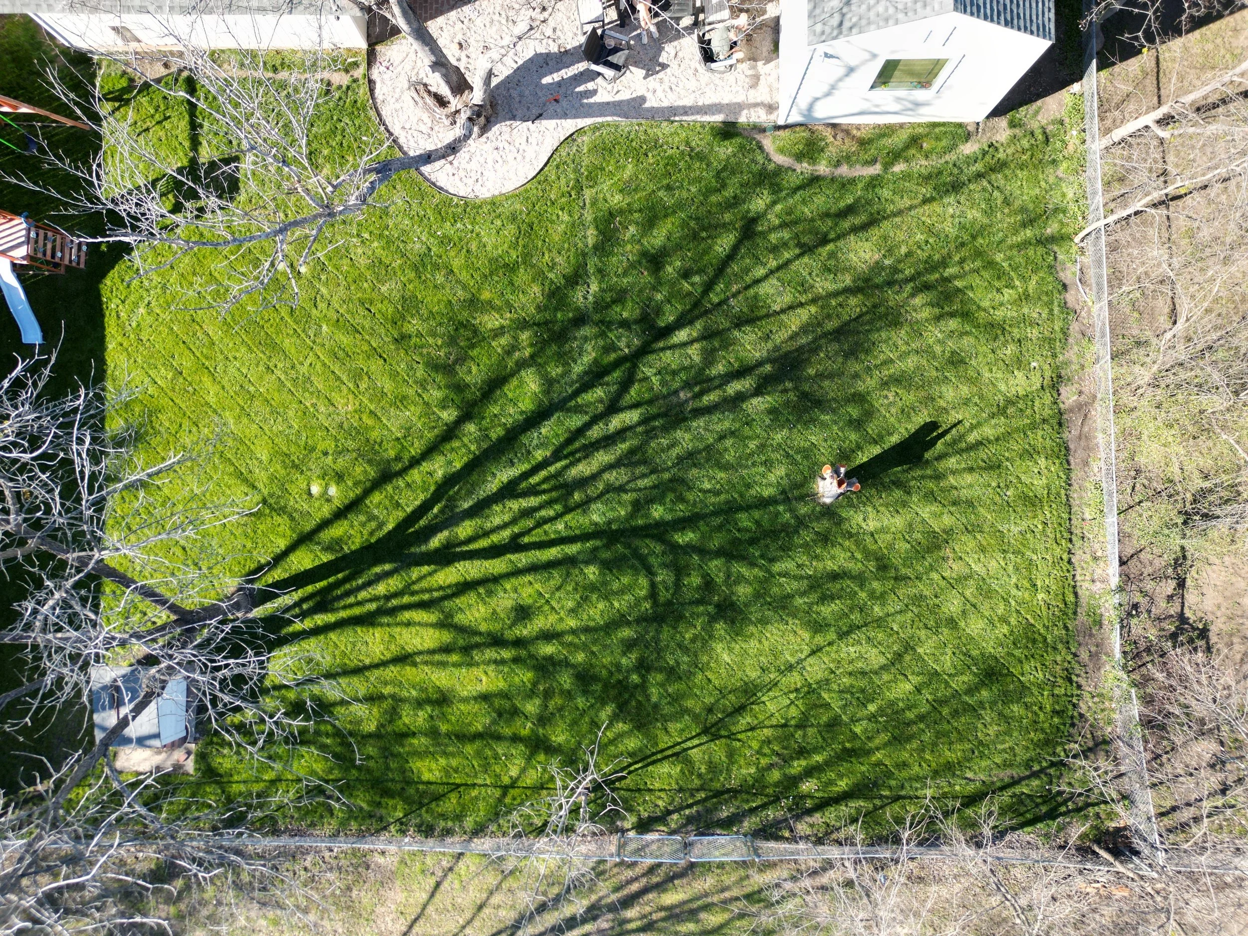An aerial view of a backyard with a green lawn, a swing set, and a small white shed or playhouse. There are leafless trees casting long shadows on the grass, and a person is seen walking on the lawn near the center.