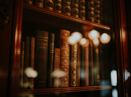 Liability & Litigation Support