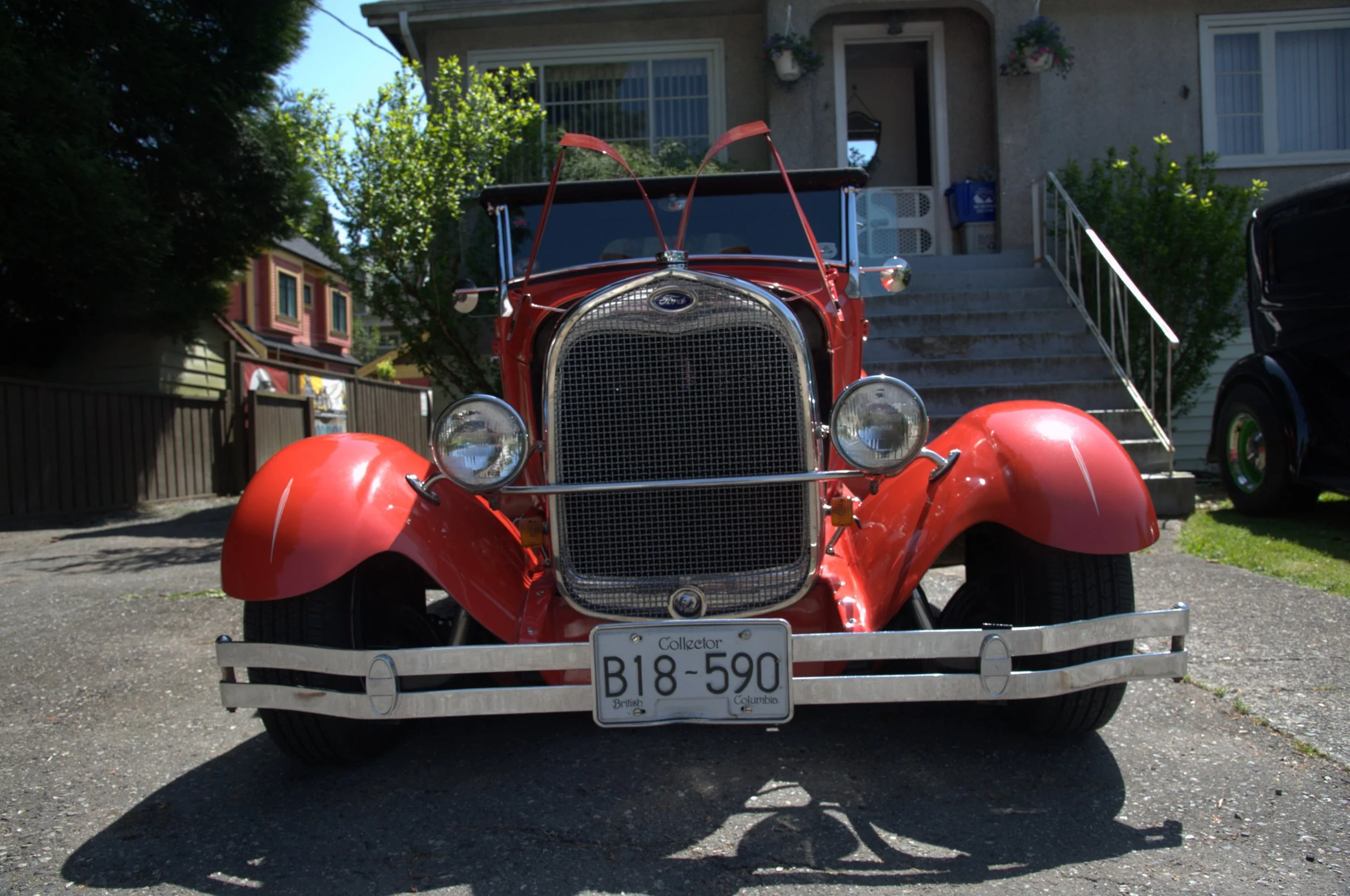 _DSC6708 - Copy.jpeg