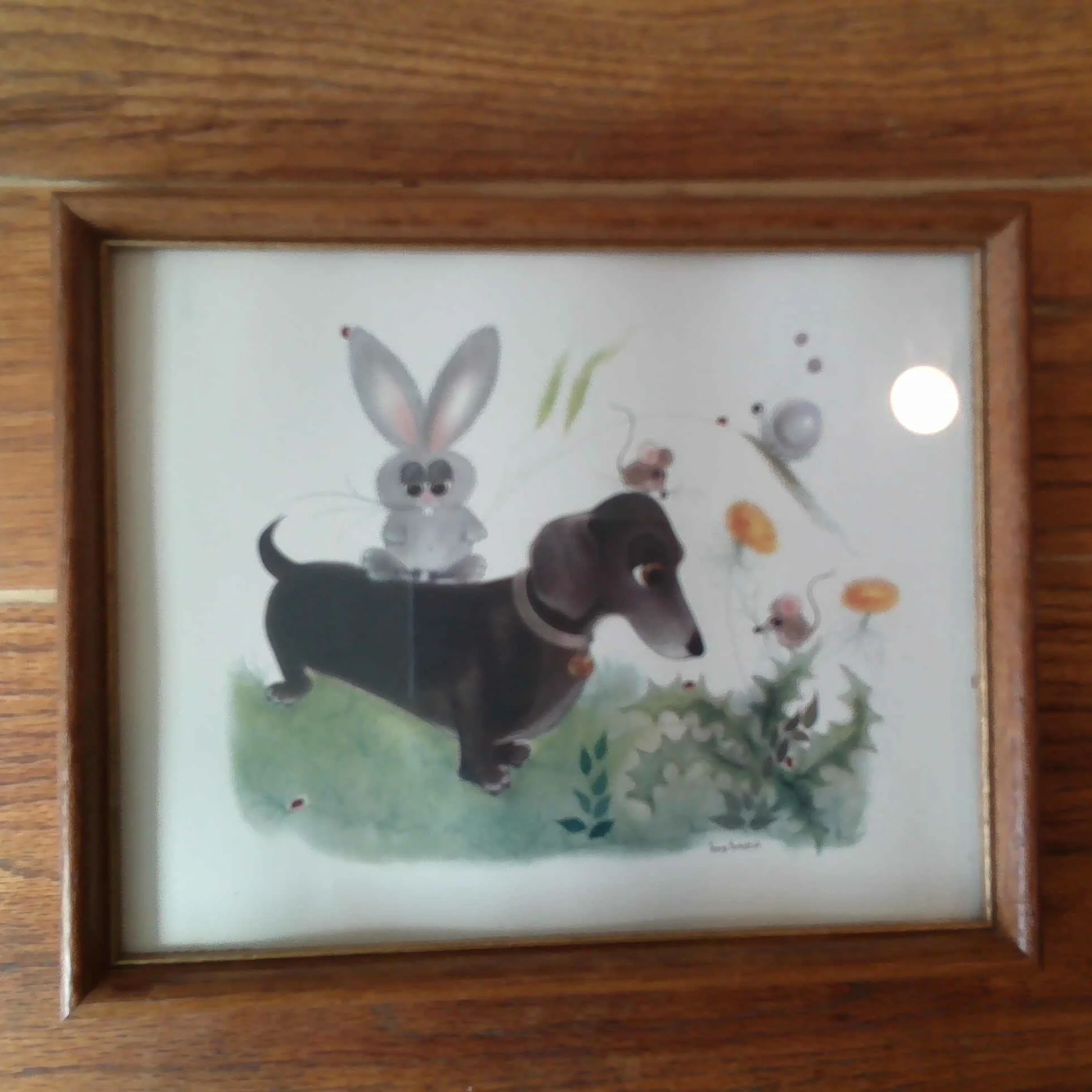 Framed Vintage Dachshund Print by George Bucket