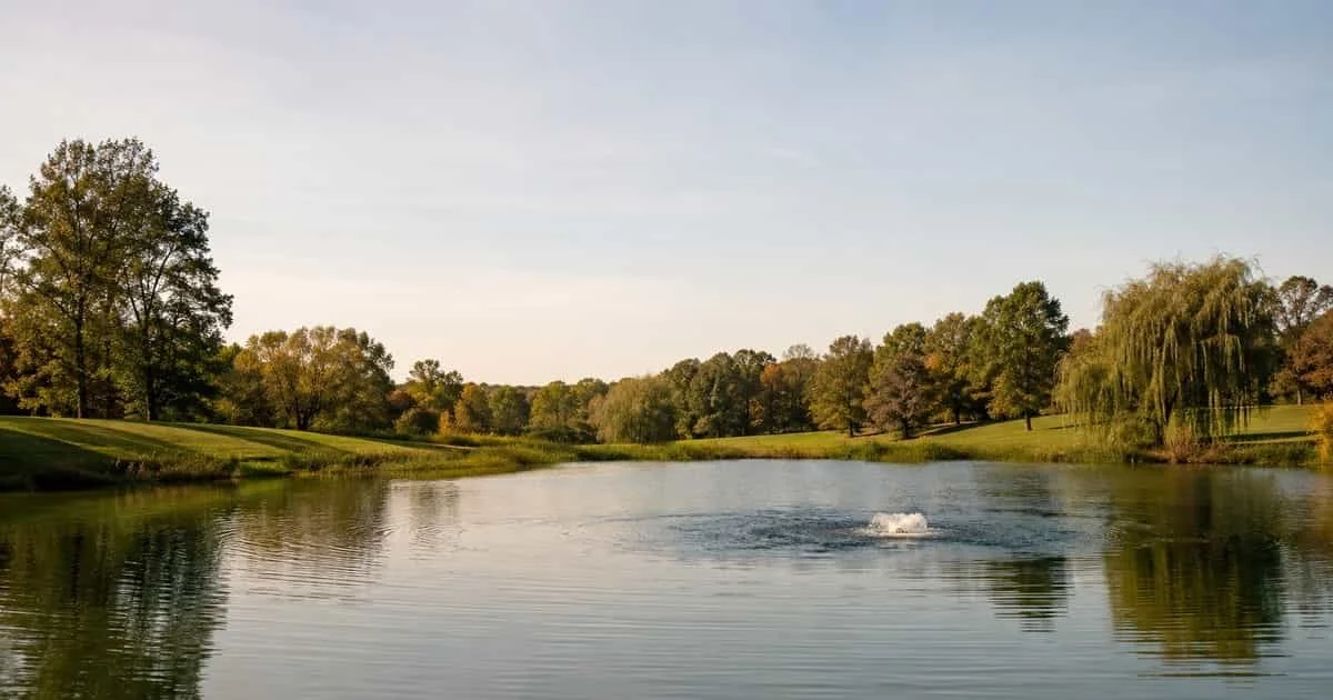 Why Your Summer Maintenance Tickets Spike — and How Pond Care Stops Three of Them at Once