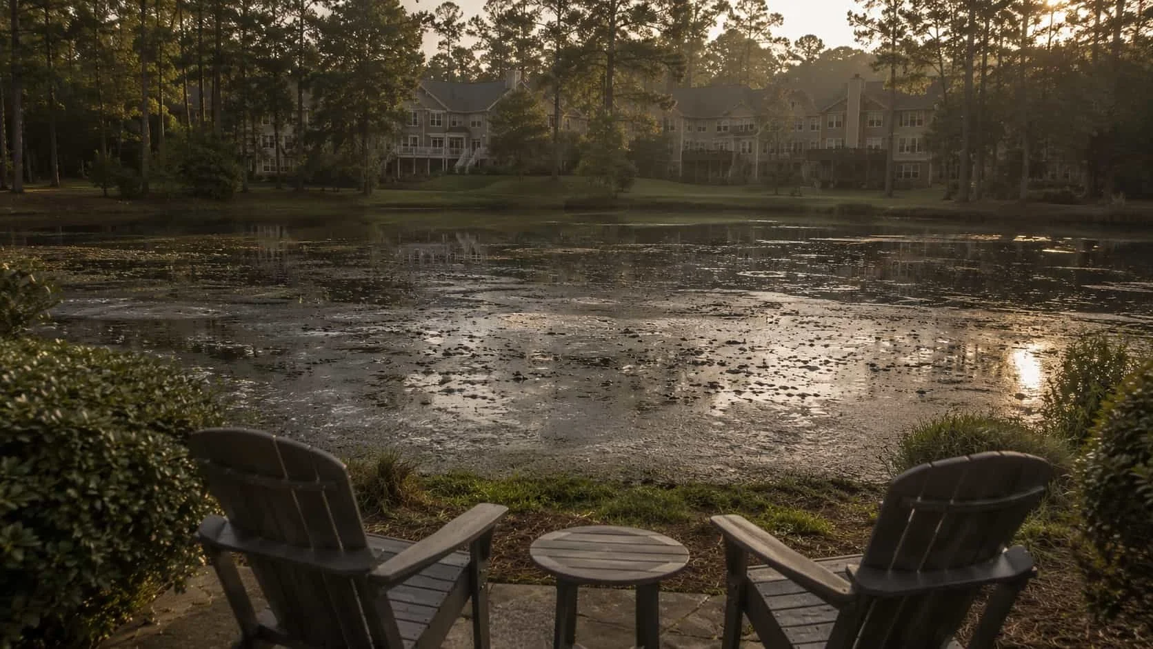 That Summer Pond Smell? It’s Muck — Here’s How To Repair Your Pond