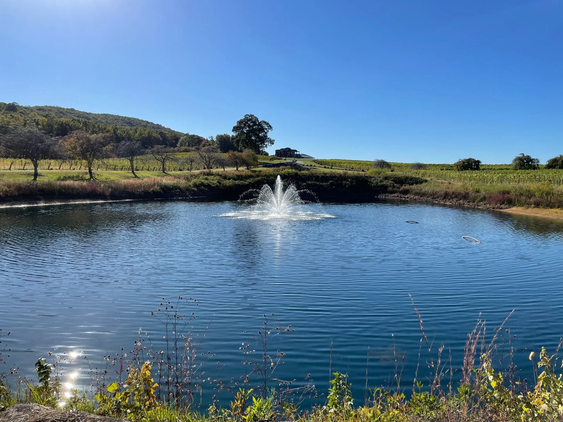 A tranquil pond with a fountain in the center, surrounded by grassy banks and sparse vegetation, with trees and rolling hills in the background under a clear blue sky.