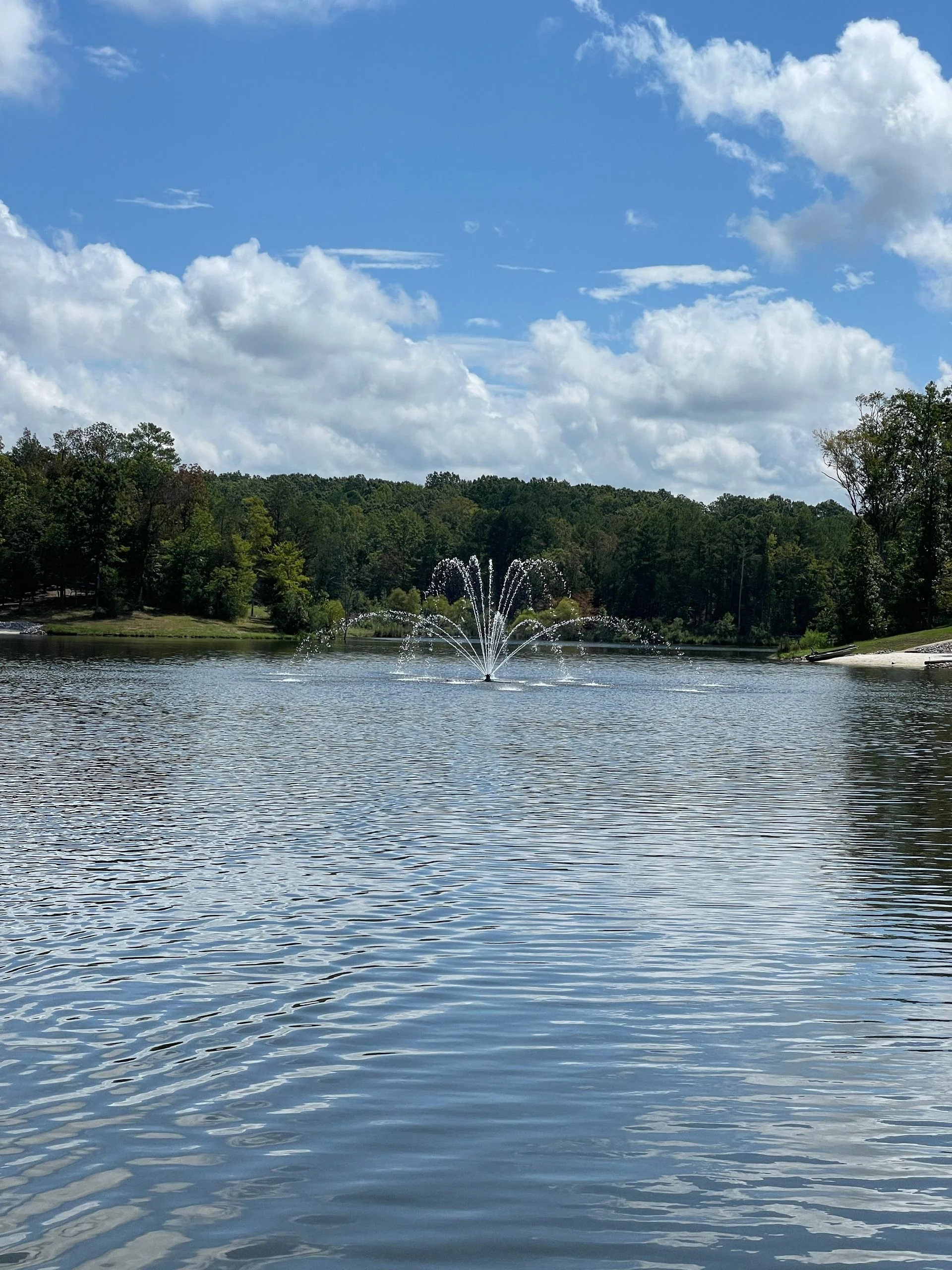 A lake with a fountain in the center, surrounded by trees and a partly cloudy sky.