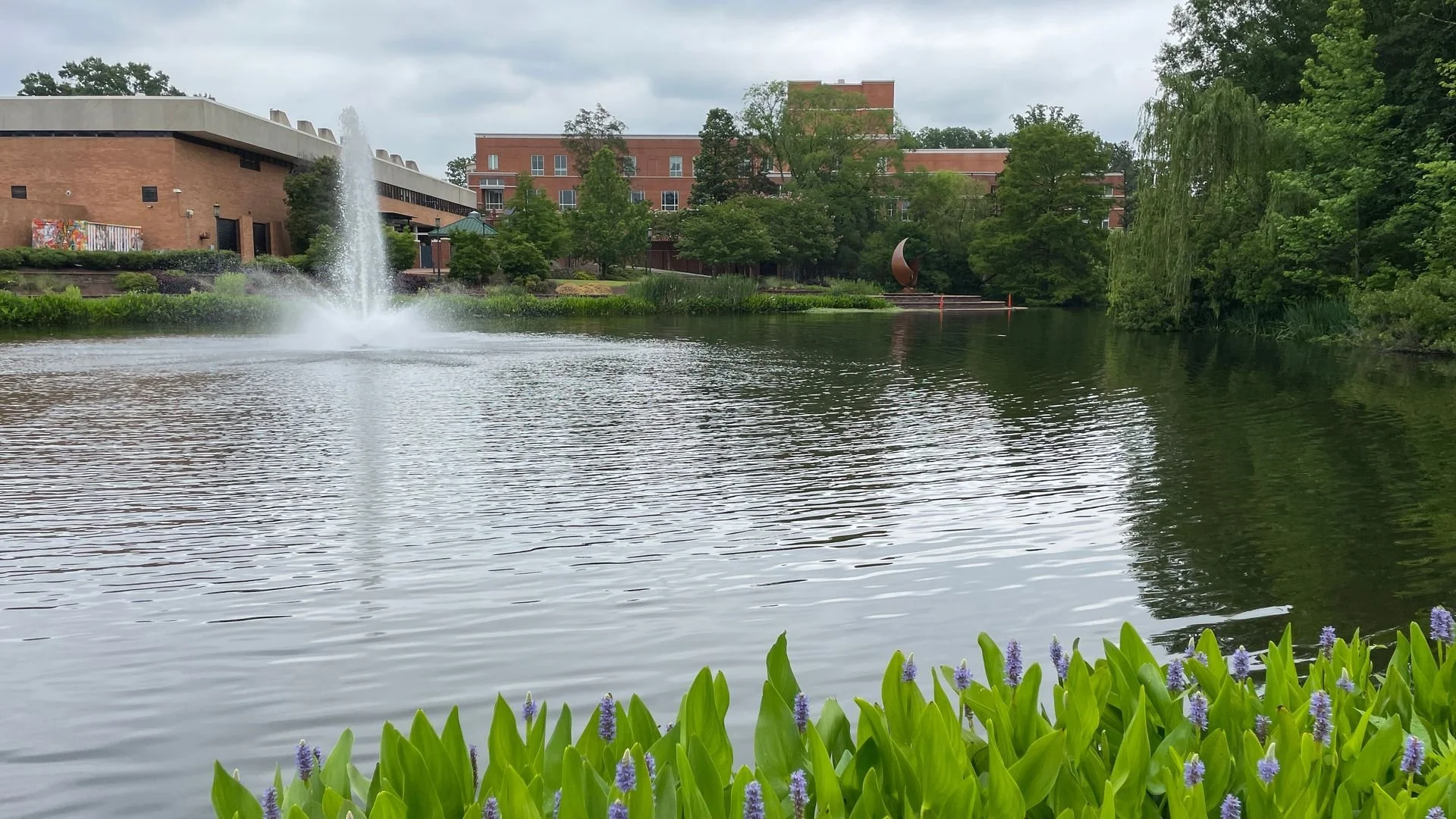 A serene pond with a fountain spraying water, surrounded by green trees, plants, and purple flowers in the foreground, with a brick building and overcast sky in the background.
