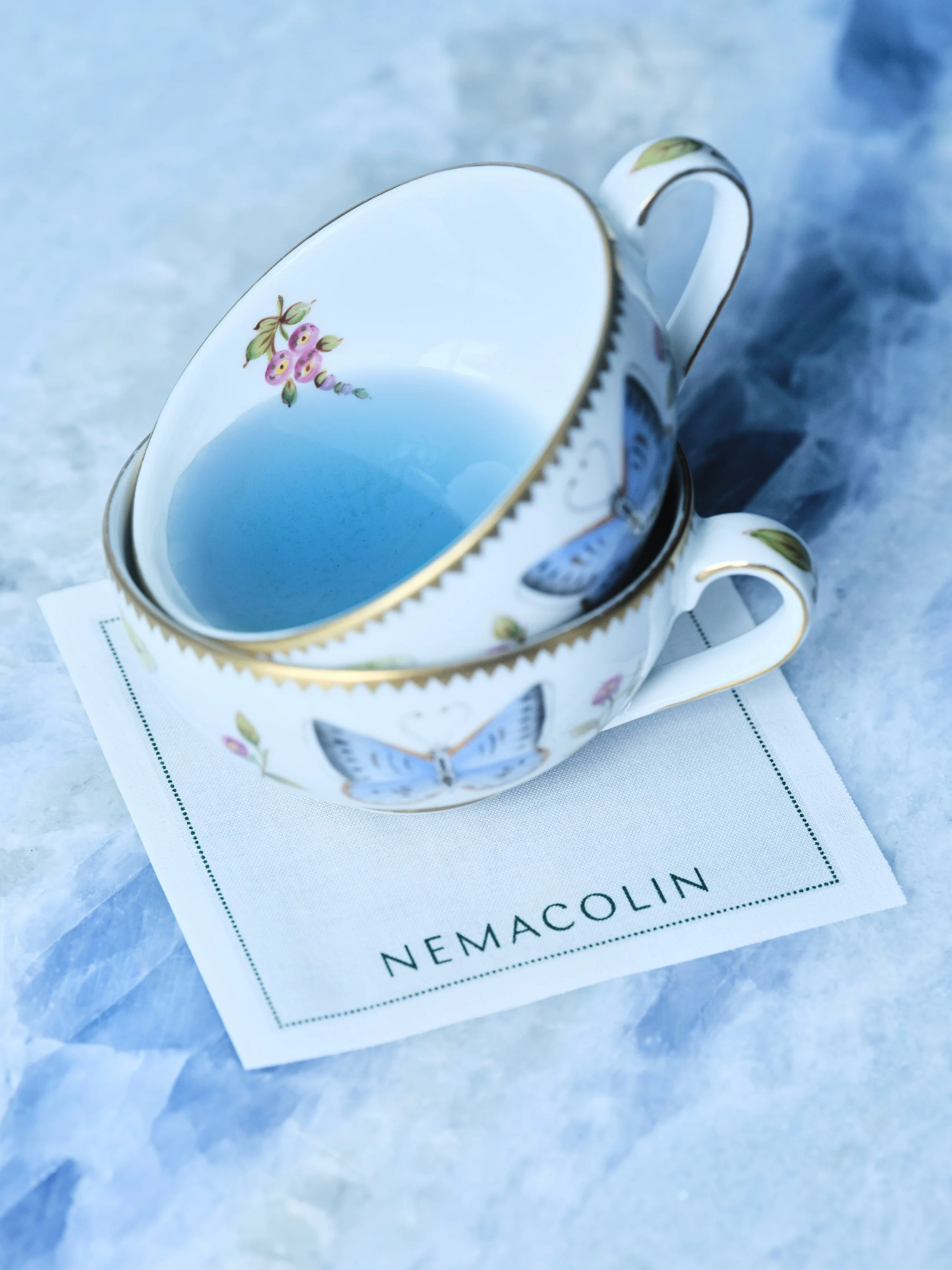 Blue food nem6327.jpg