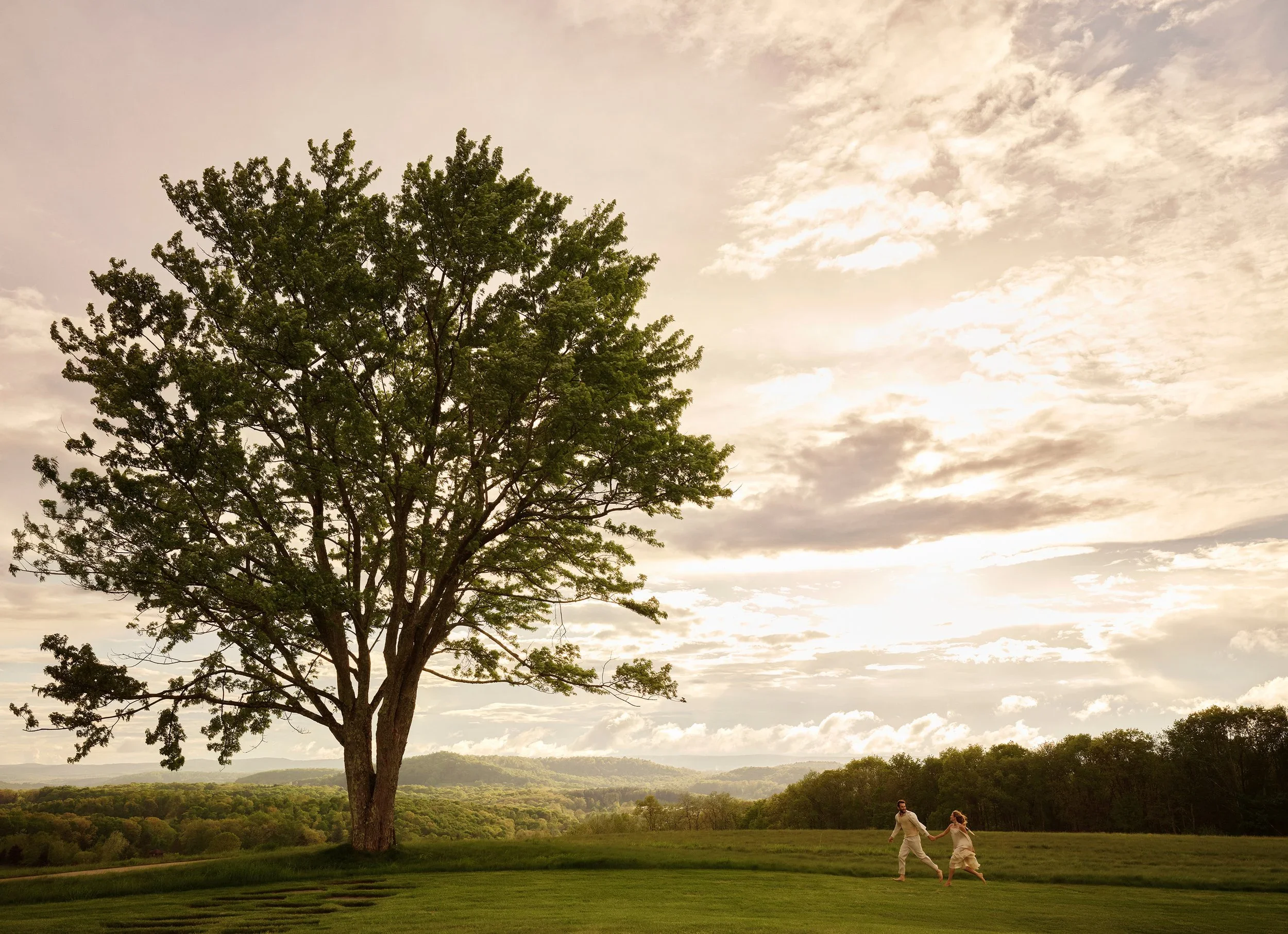 DSCF3504_RT1_sRGB+copy (1).webp