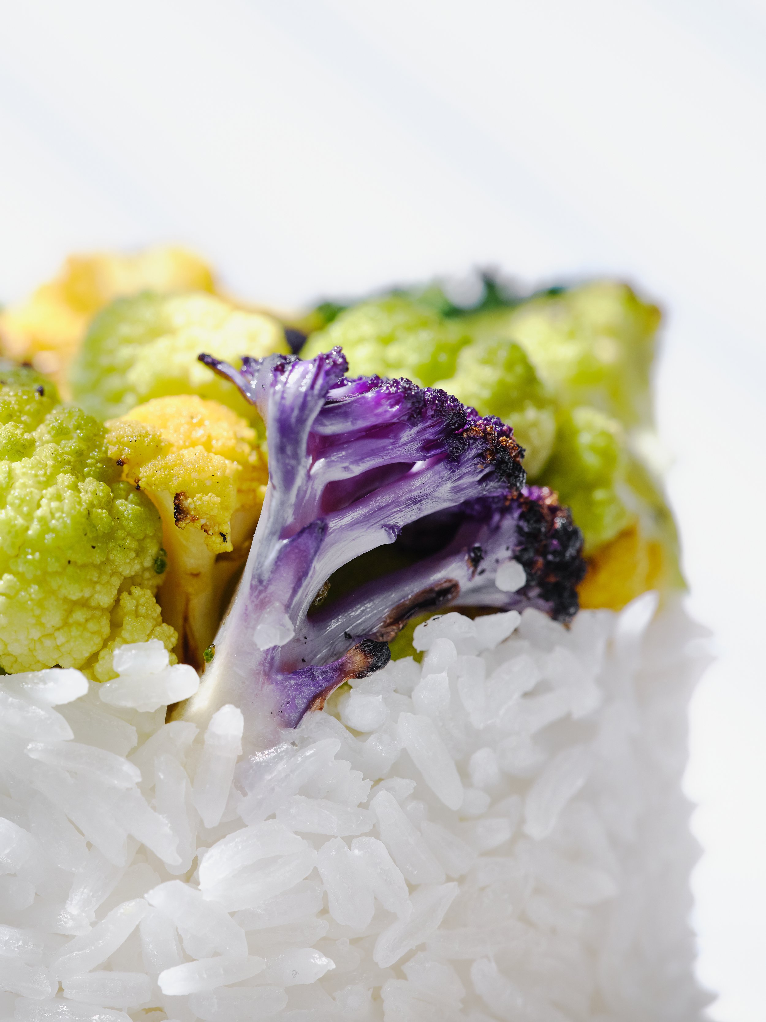 Aquious food shoot7273.jpg