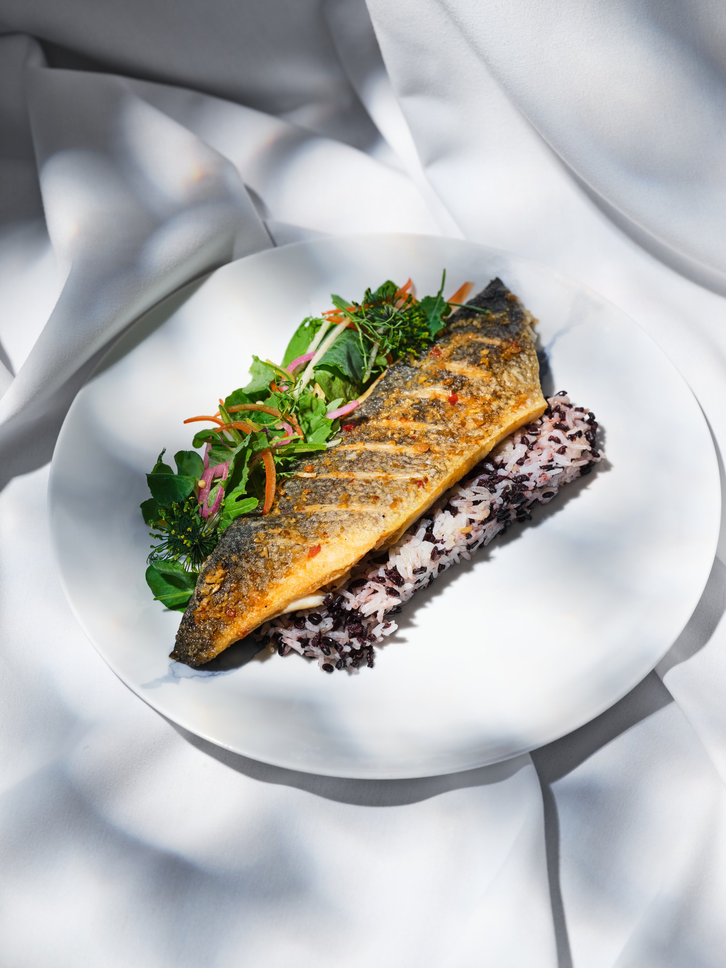 Aquious food shoot7378.jpg