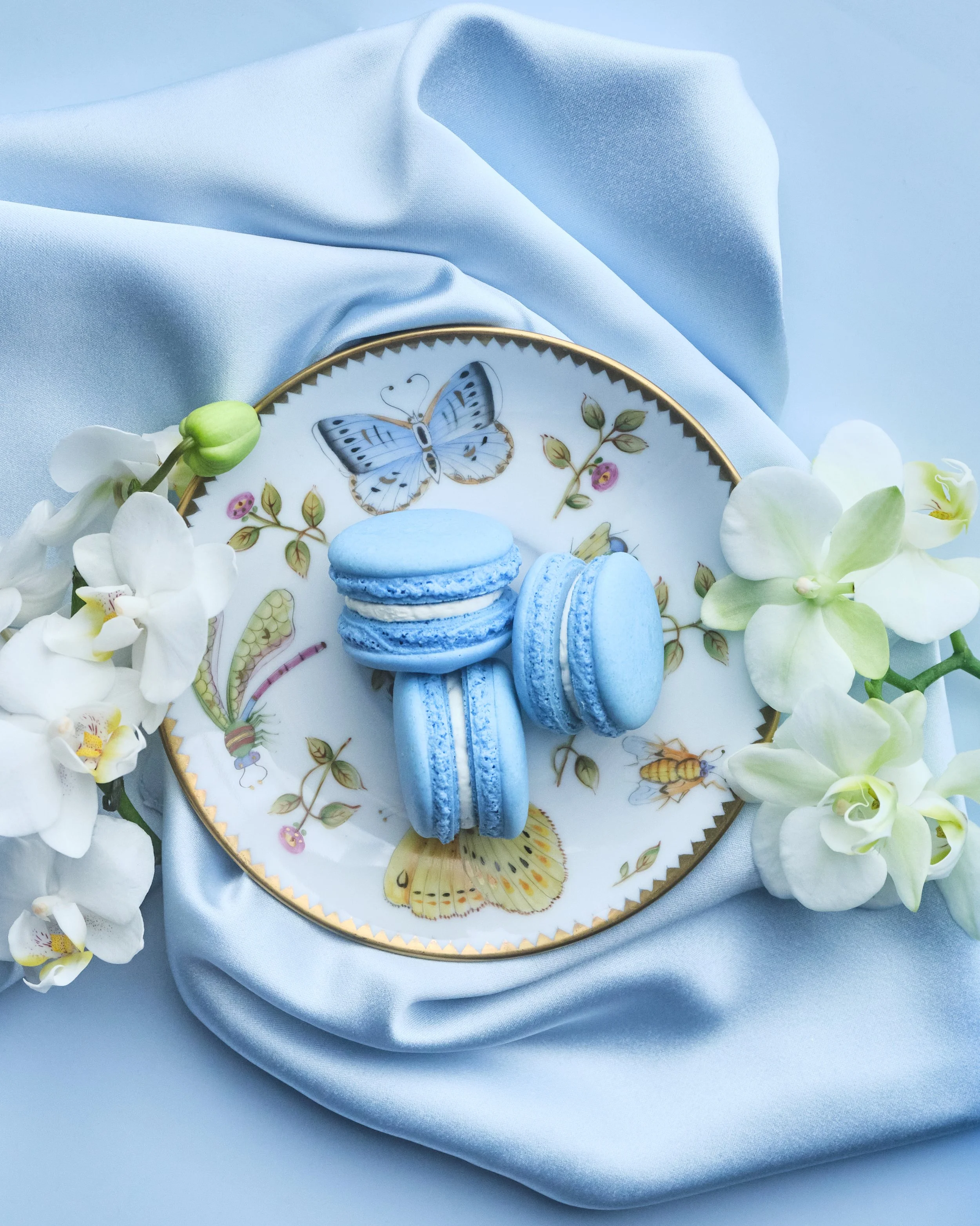 Blue food nem6255.jpg