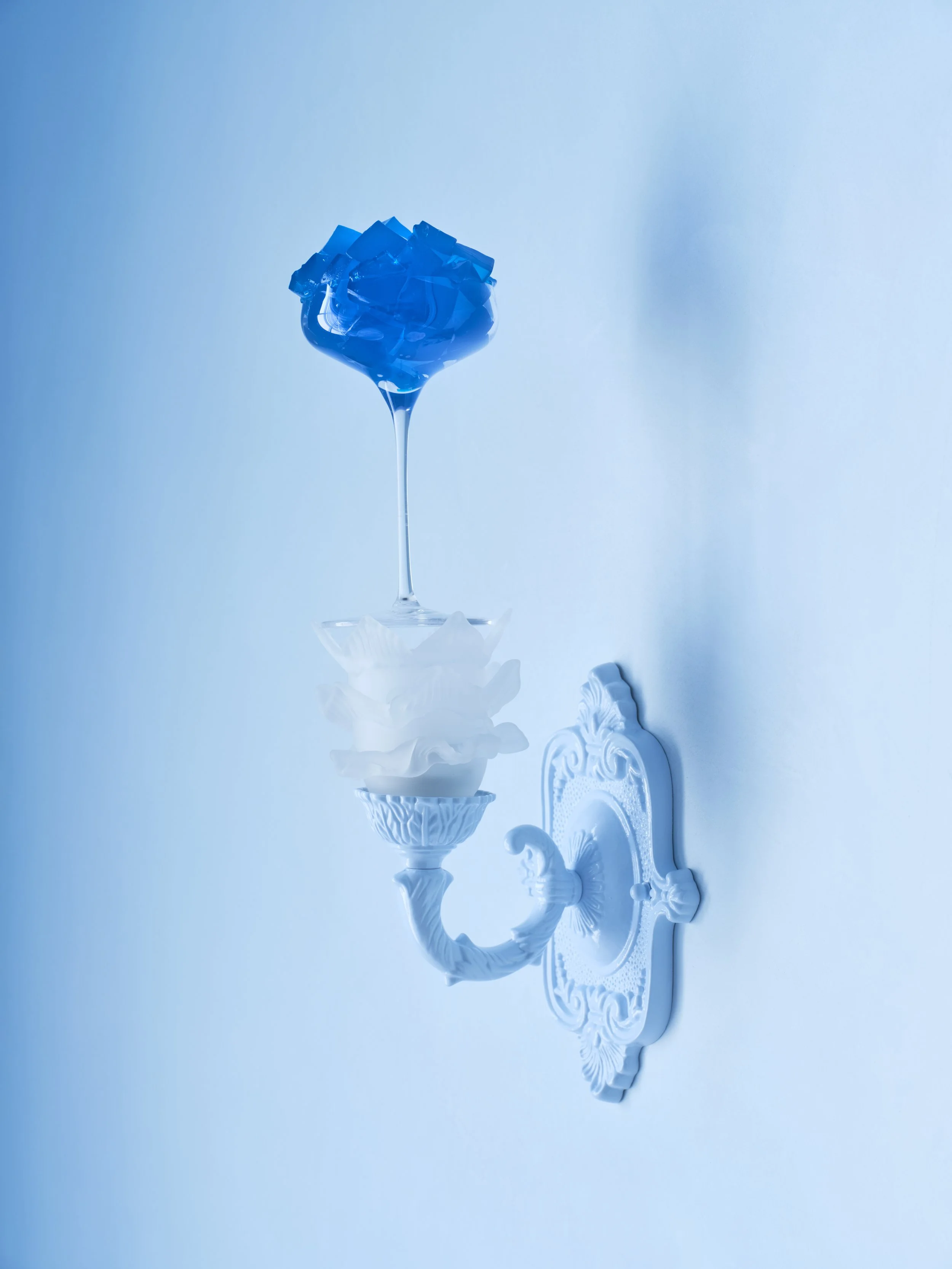 Blue food nem6423.jpg