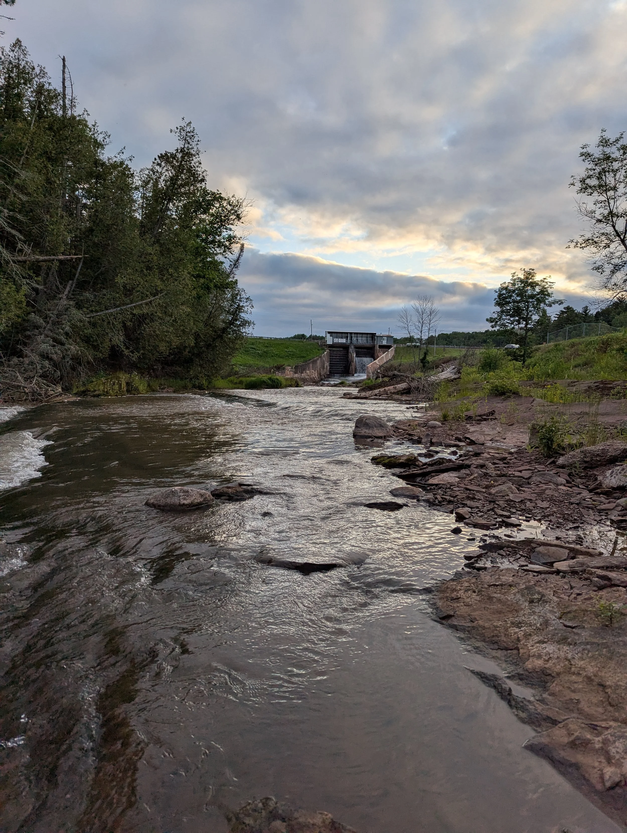 A calm stream running through a natural landscape with cloudy skies overhead, trees on both sides, and a small dam or water control structure in the distance.