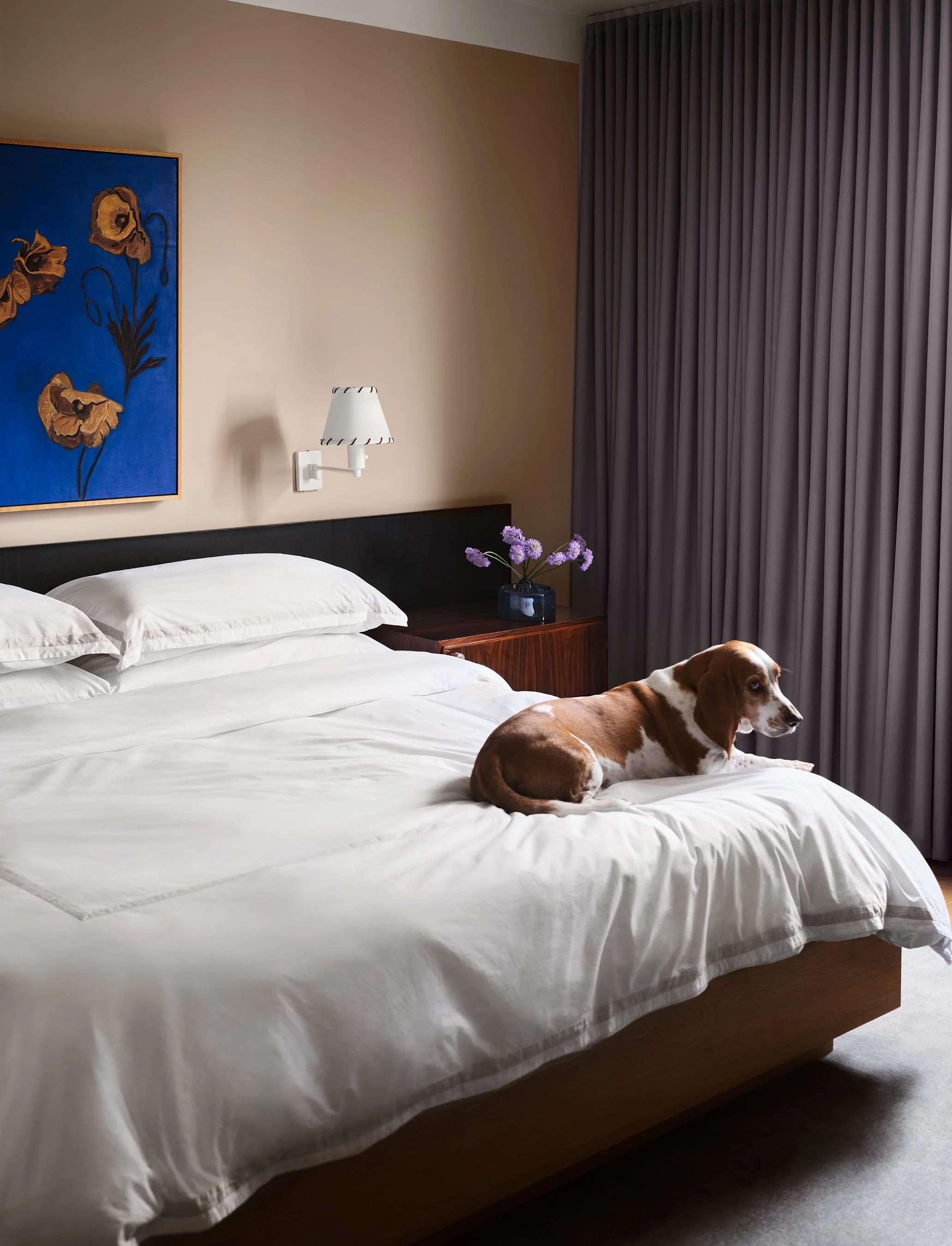 Scott Parks Studio - Brand Identity & Introduction