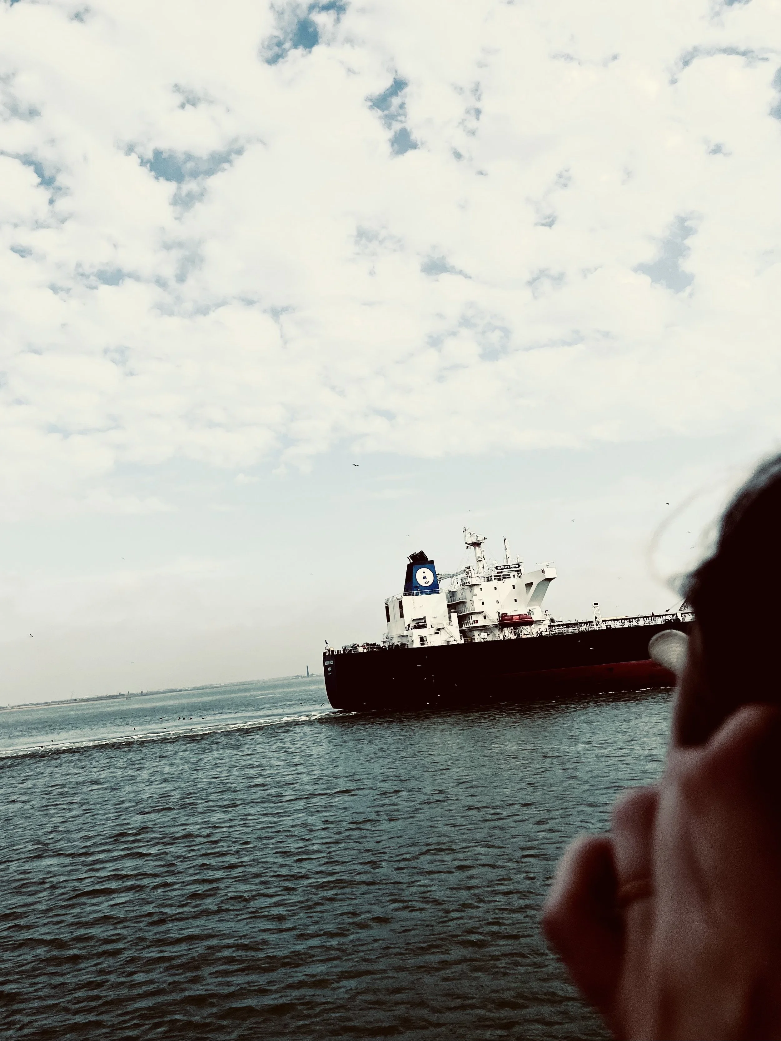 Large cargo ship sailing on the water with a partly cloudy sky and distant shoreline.