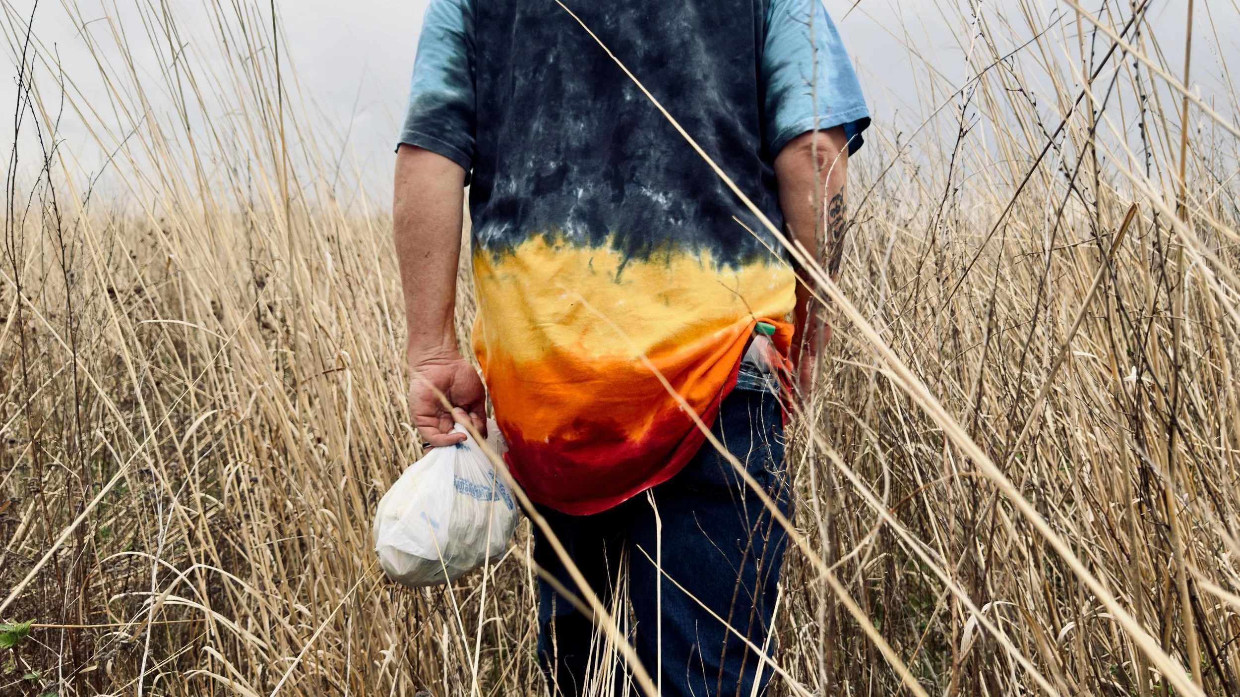 A person walking through a field of tall, dry grass, carrying a plastic bag in hand, wearing a tie-dye shirt with blue, yellow, red, and green colors.