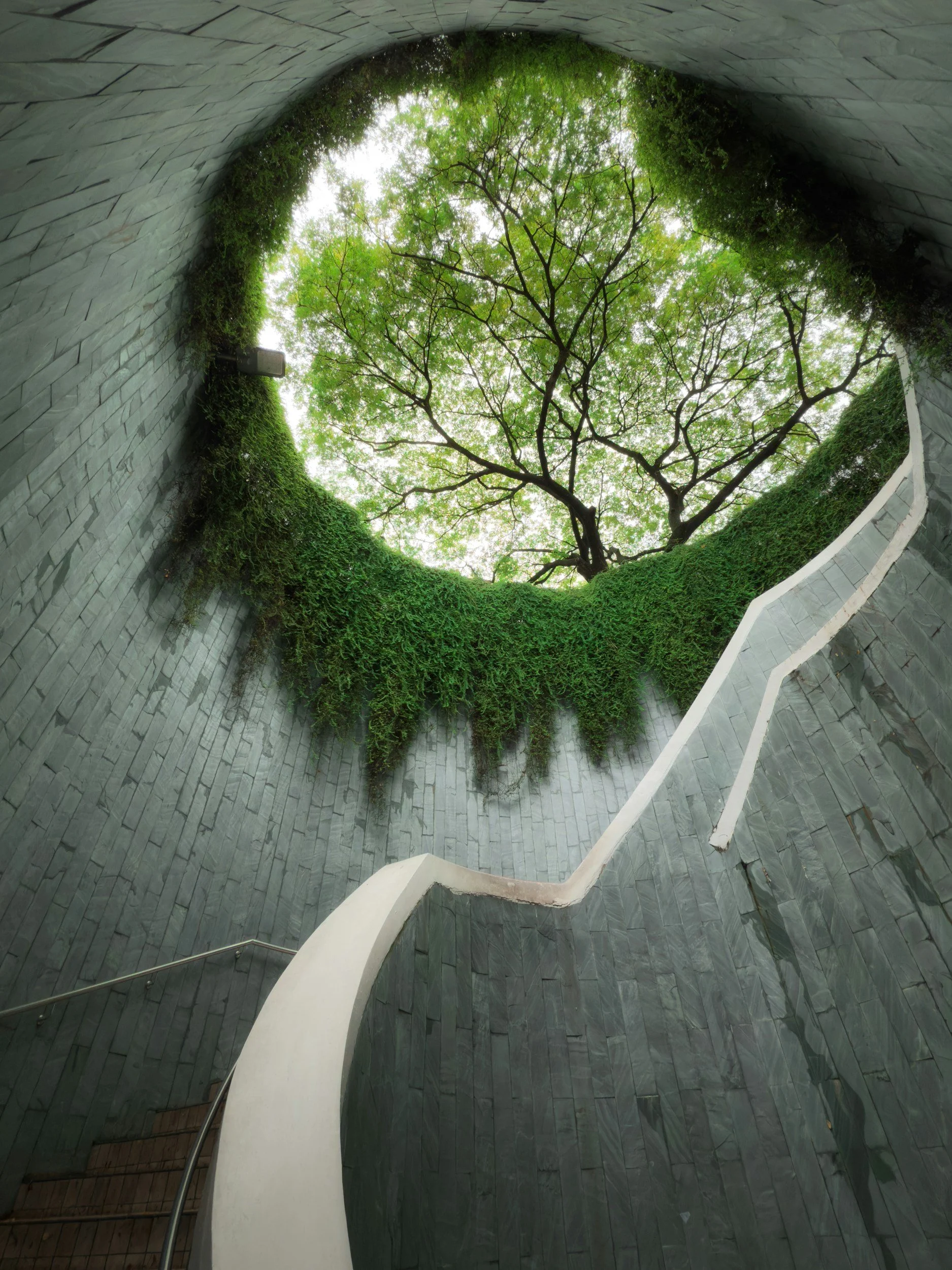 View of a tree with green leaves seen through an open circular roof, with stone walls and a white staircase railing.