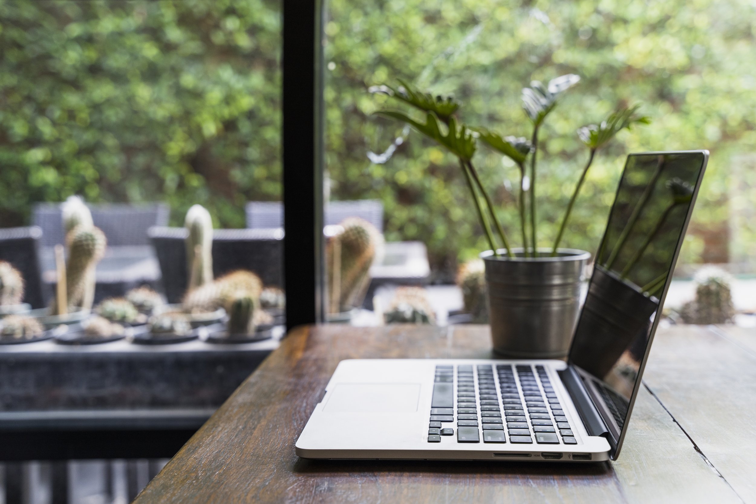 A laptop on a wooden table in front of a window with a view of green trees. There are potted plants and cacti outside on a patio.