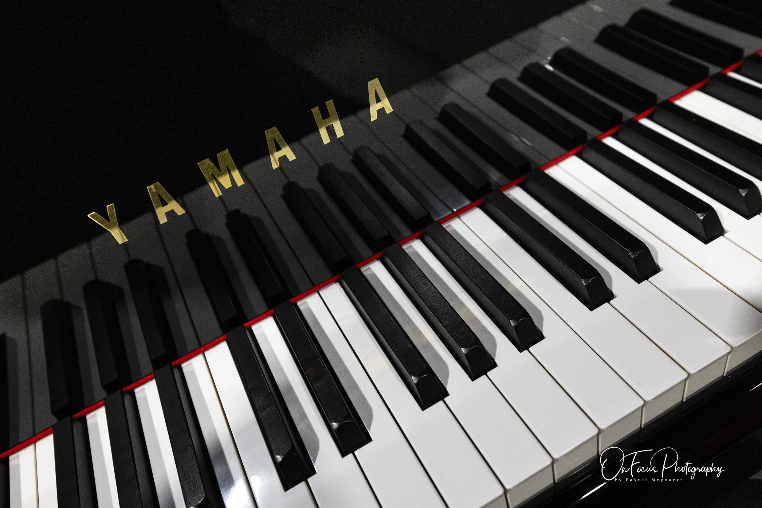 _C9A5023.jpg