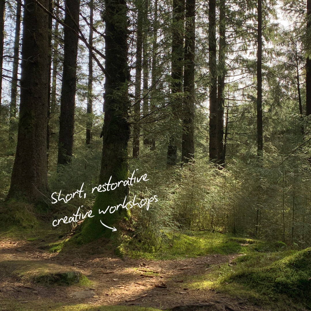 A forest scene with tall trees, sunlight filtering through the branches, and a dirt path. Handwritten text says 'Short, restorative creative workshops' with an arrow pointing to the forest floor.