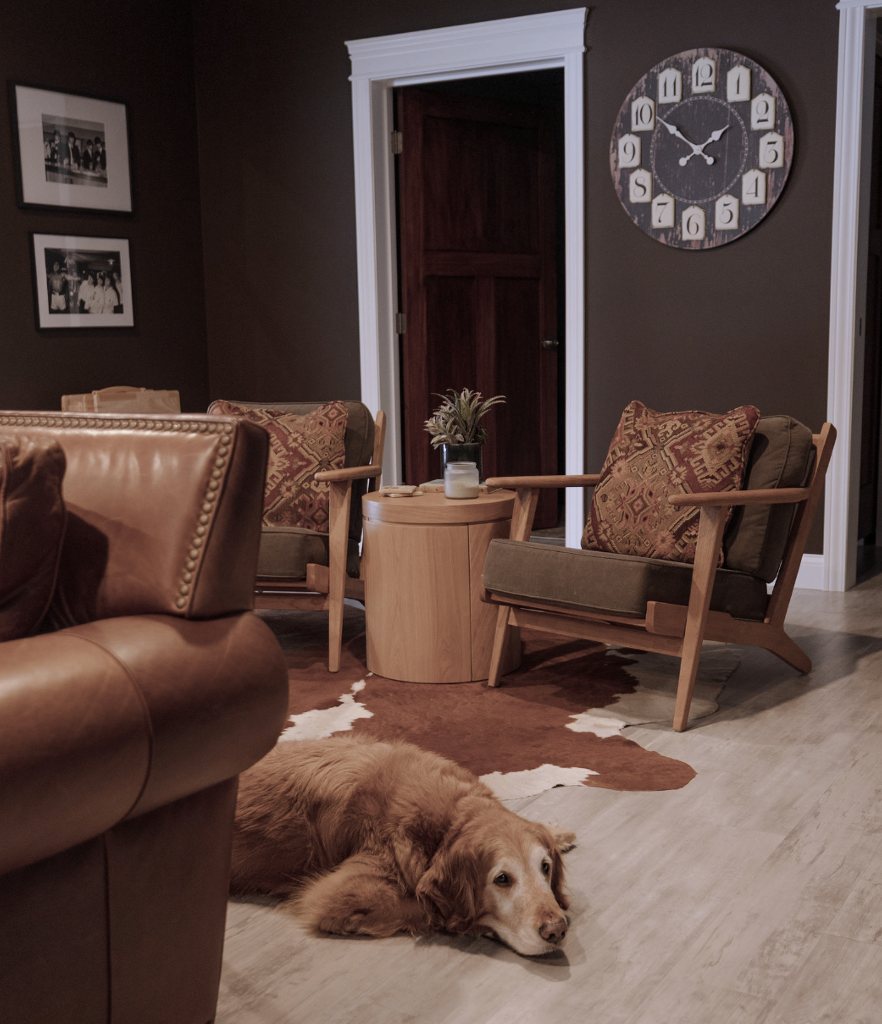 Chocolate brown paint on walls with light wood furniture with leather sofa. Hide rug under seating area. Golden Retriever relaxing in finished basement.