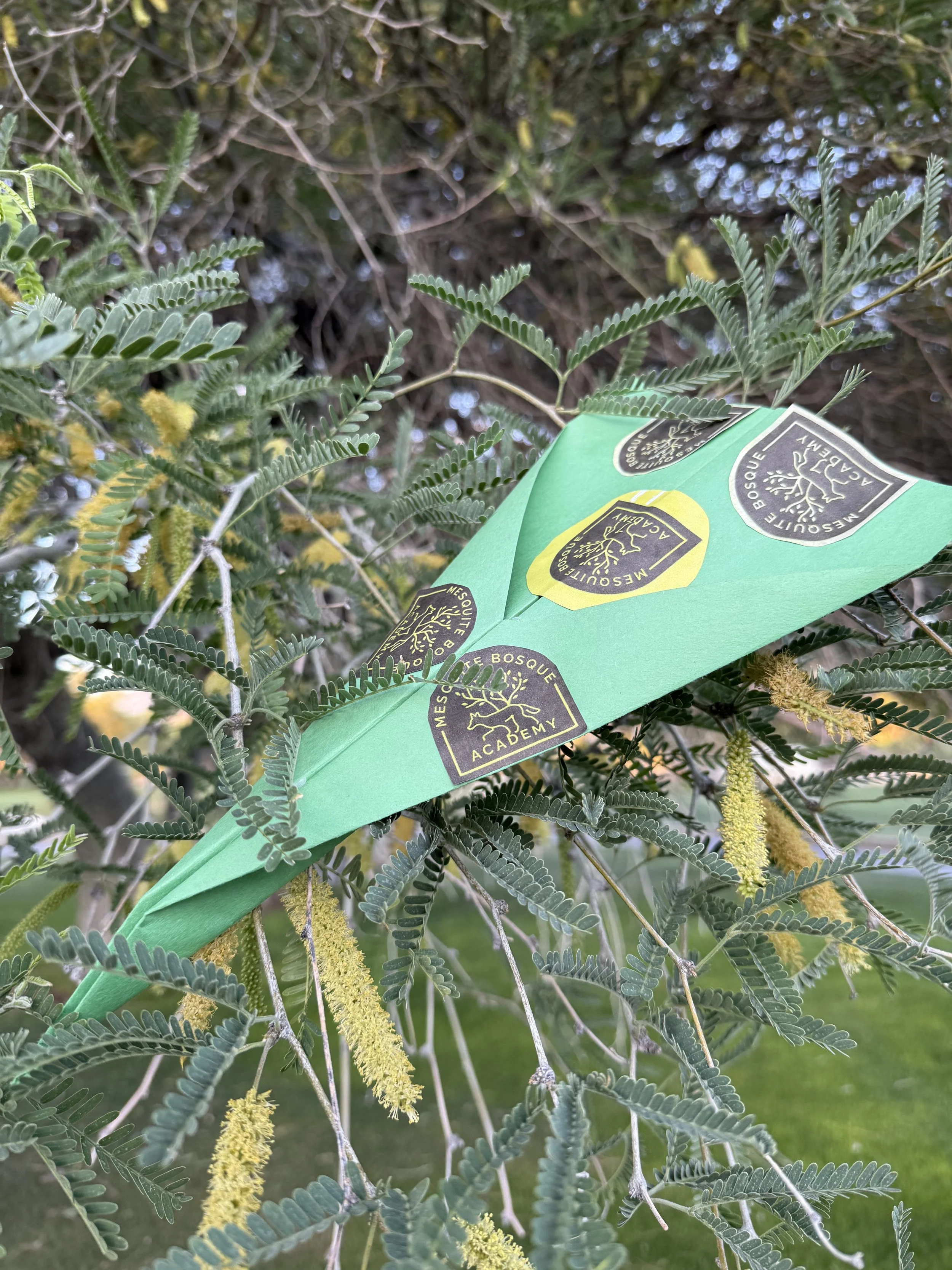 SOAR WITH US, Mesquite Bosque Academy Open House - Show &amp; Tell