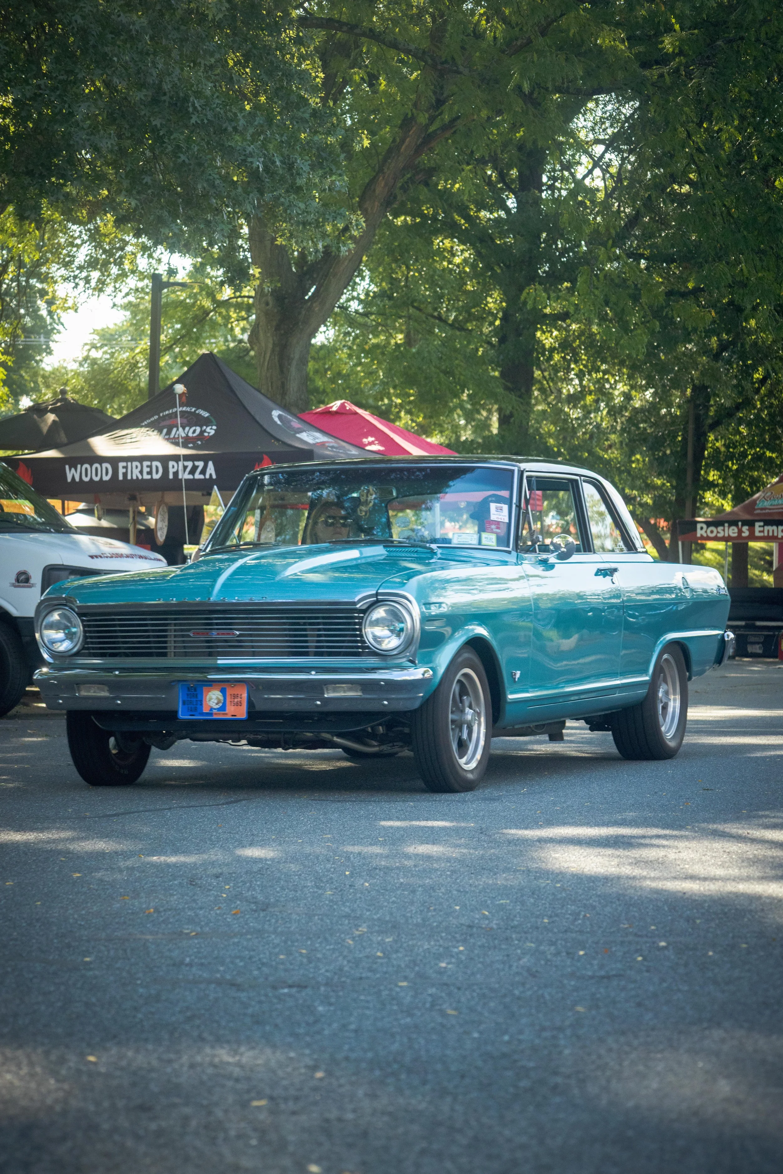 9D9A0301.jpg