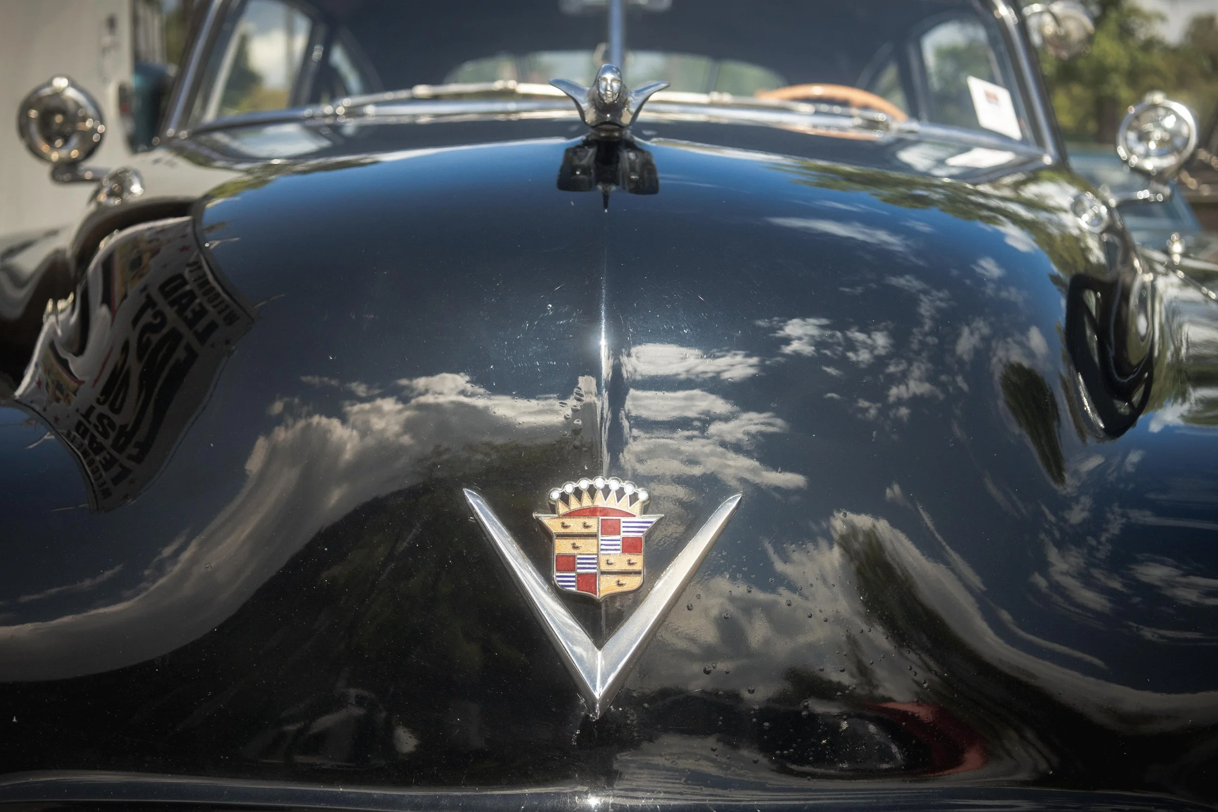 9D9A2263.jpg