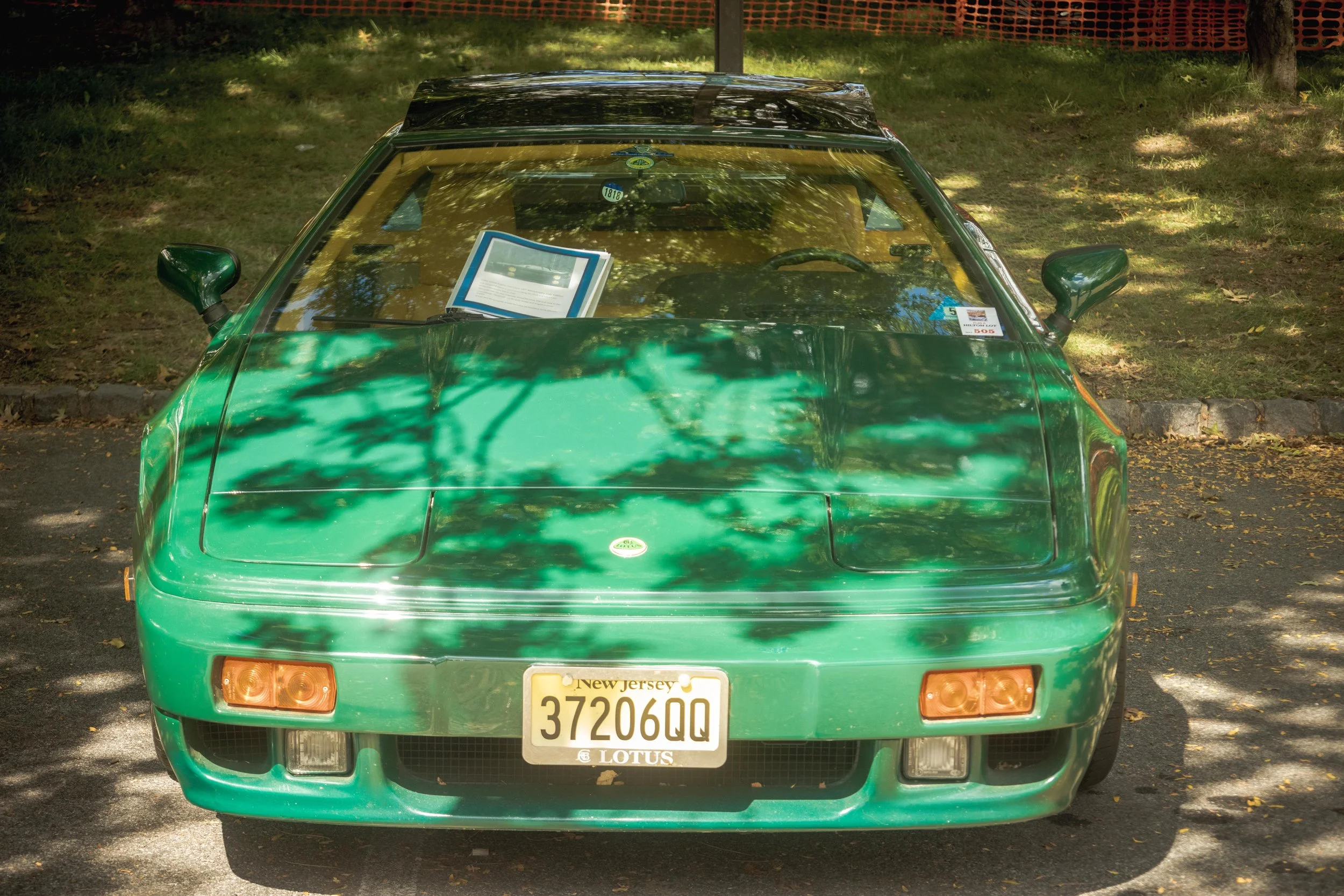 9D9A2015.jpg