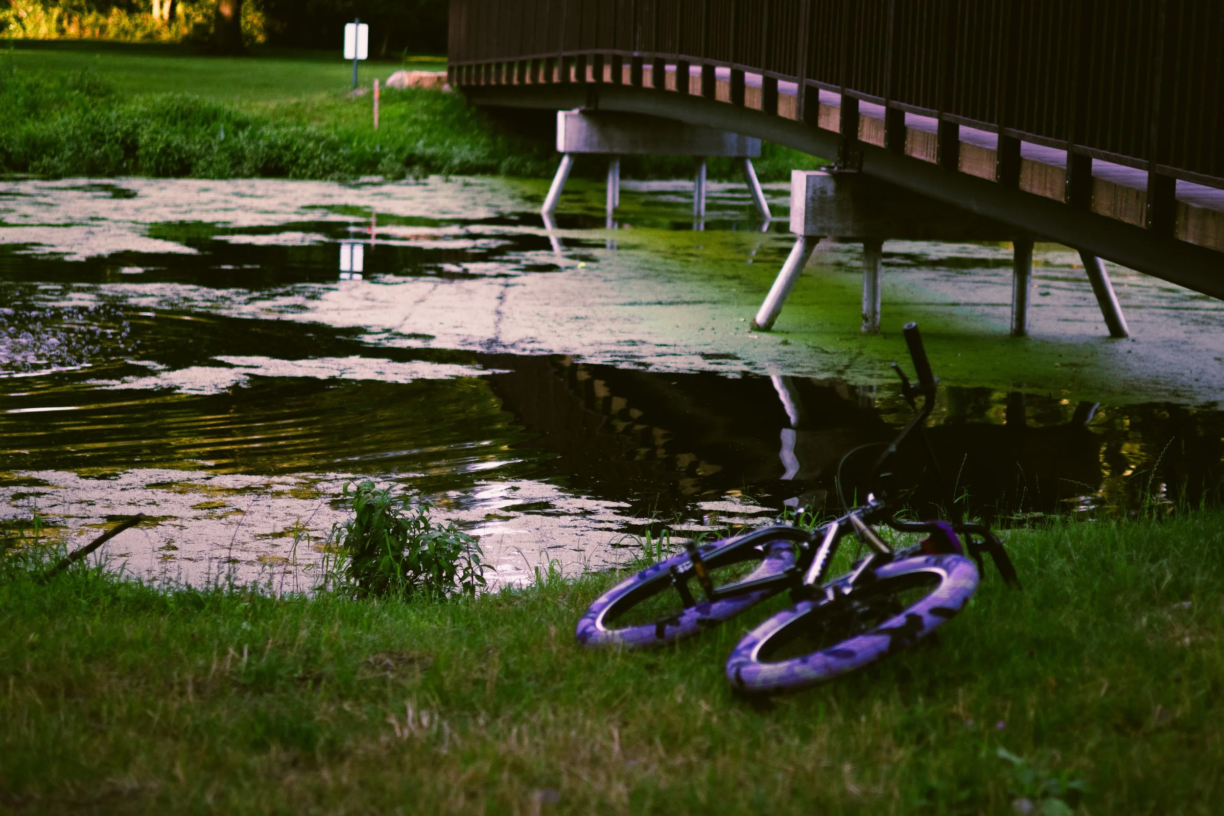 A purple children's bicycle lying on green grass near a small pond with green algae. There is a wooden bridge above the pond with supporting stilts and a grassy area in the background.