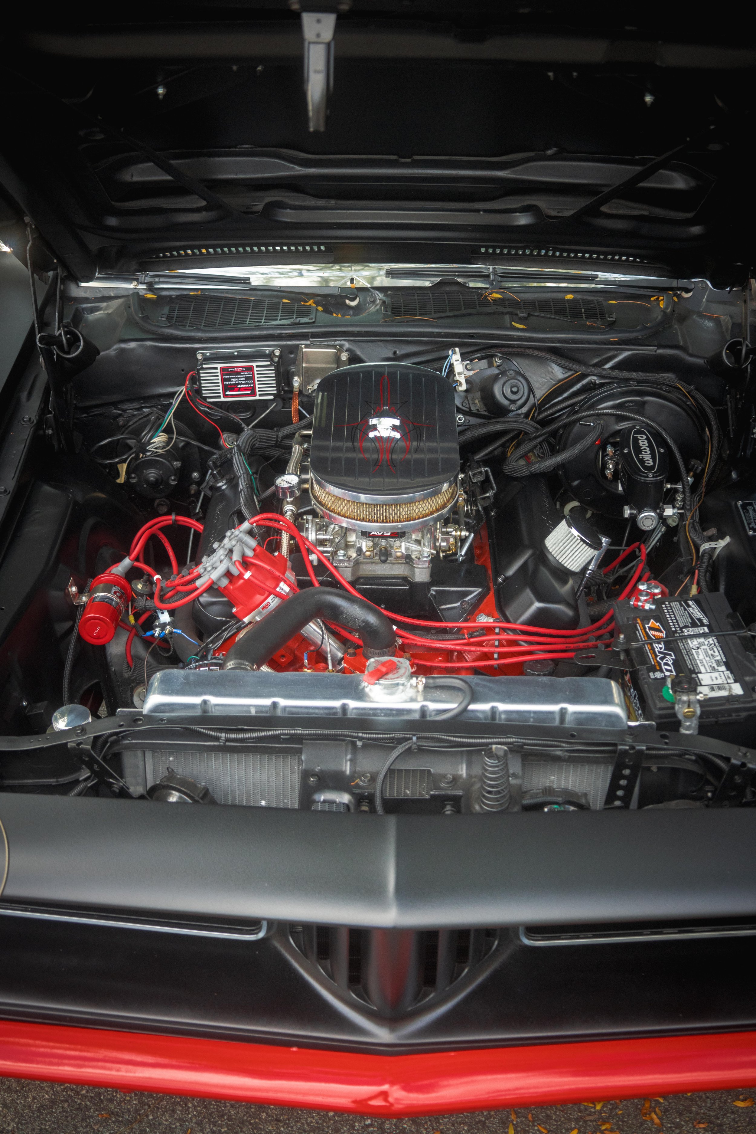 9D9A9778.jpg