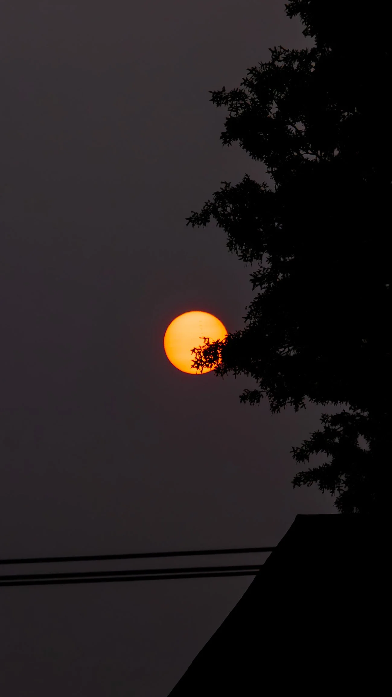 The sun setting or rising behind a silhouette of tree branches and a rooftop, with a dark sky and power lines in the foreground.