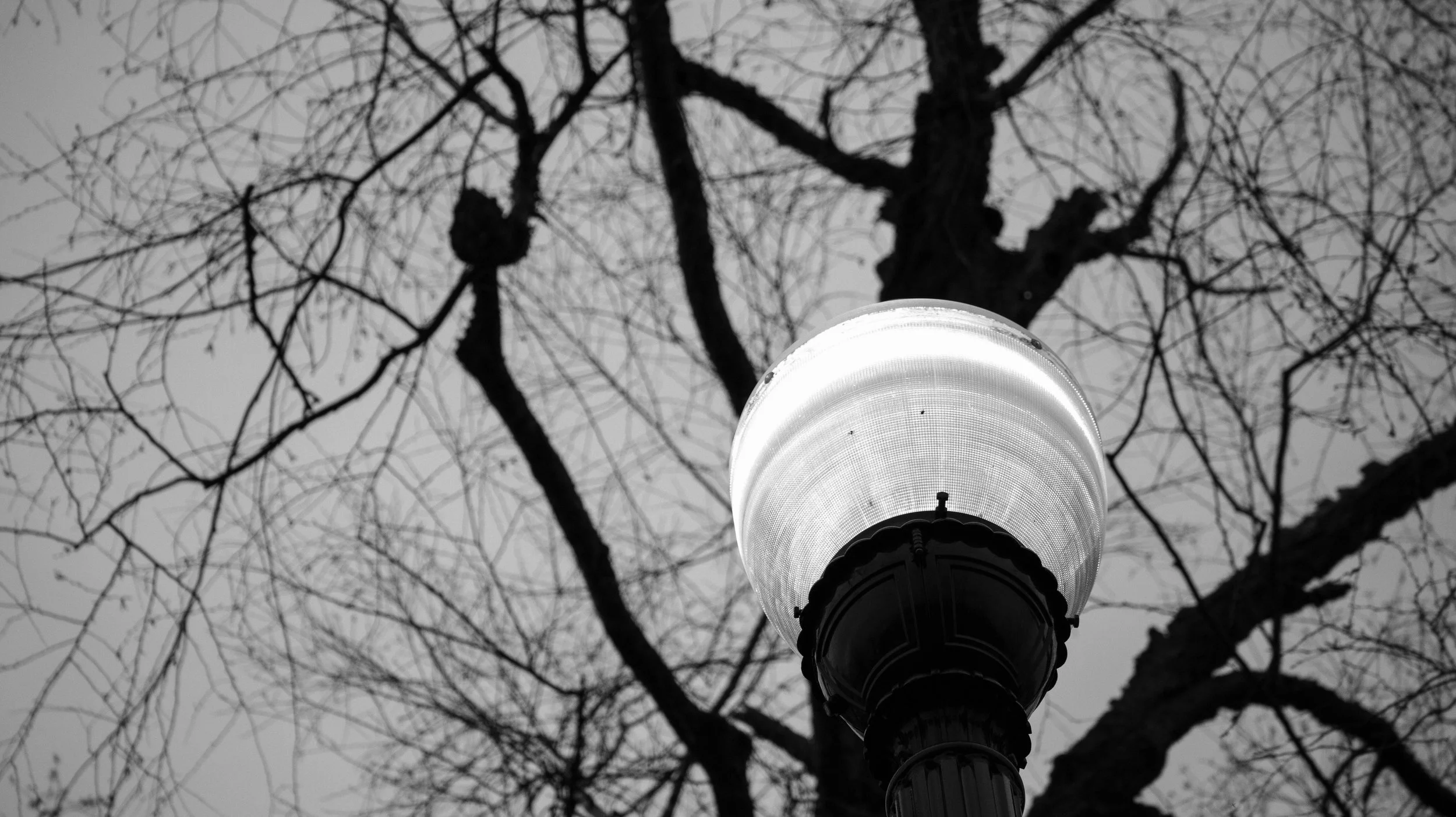 A street lamp with a lit glass globe against a background of leafless tree branches and a cloudy sky.