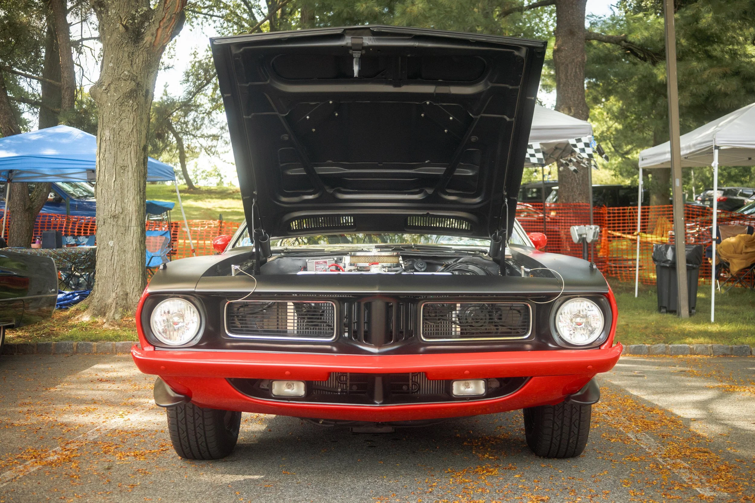 9D9A9779.jpg