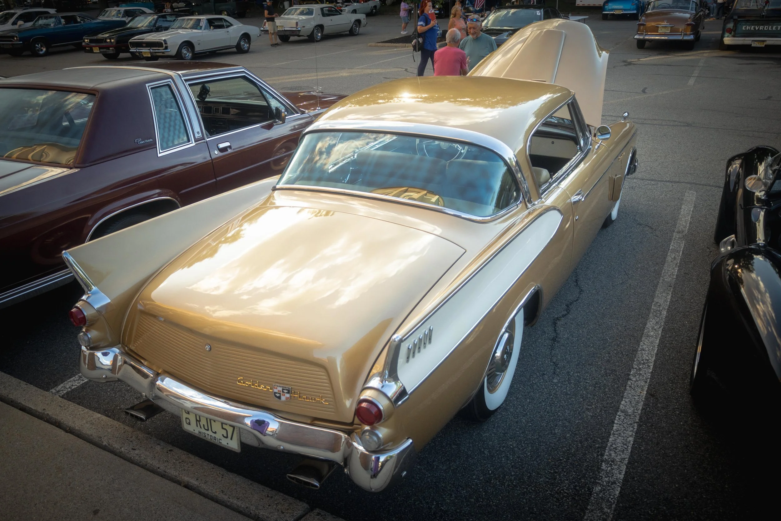 9D9A0503.jpg