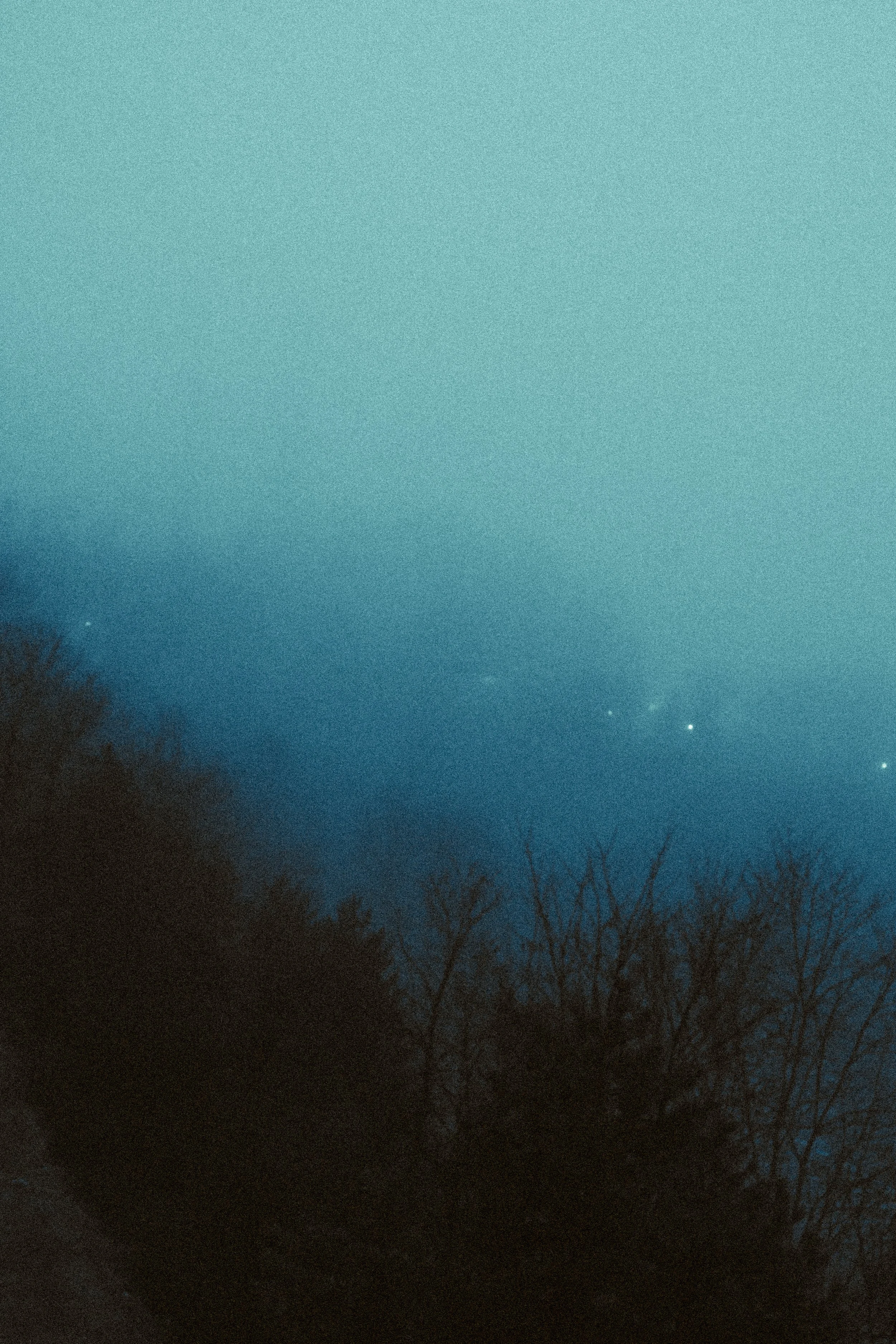 Night sky with stars above a silhouette of trees.