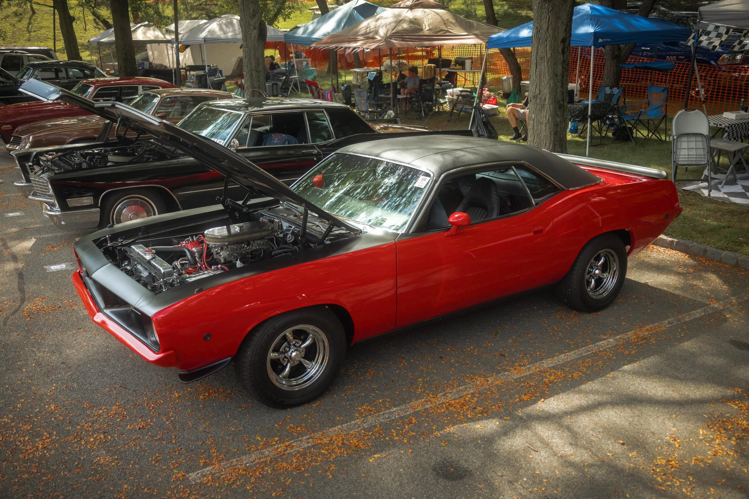 9D9A9773.jpg
