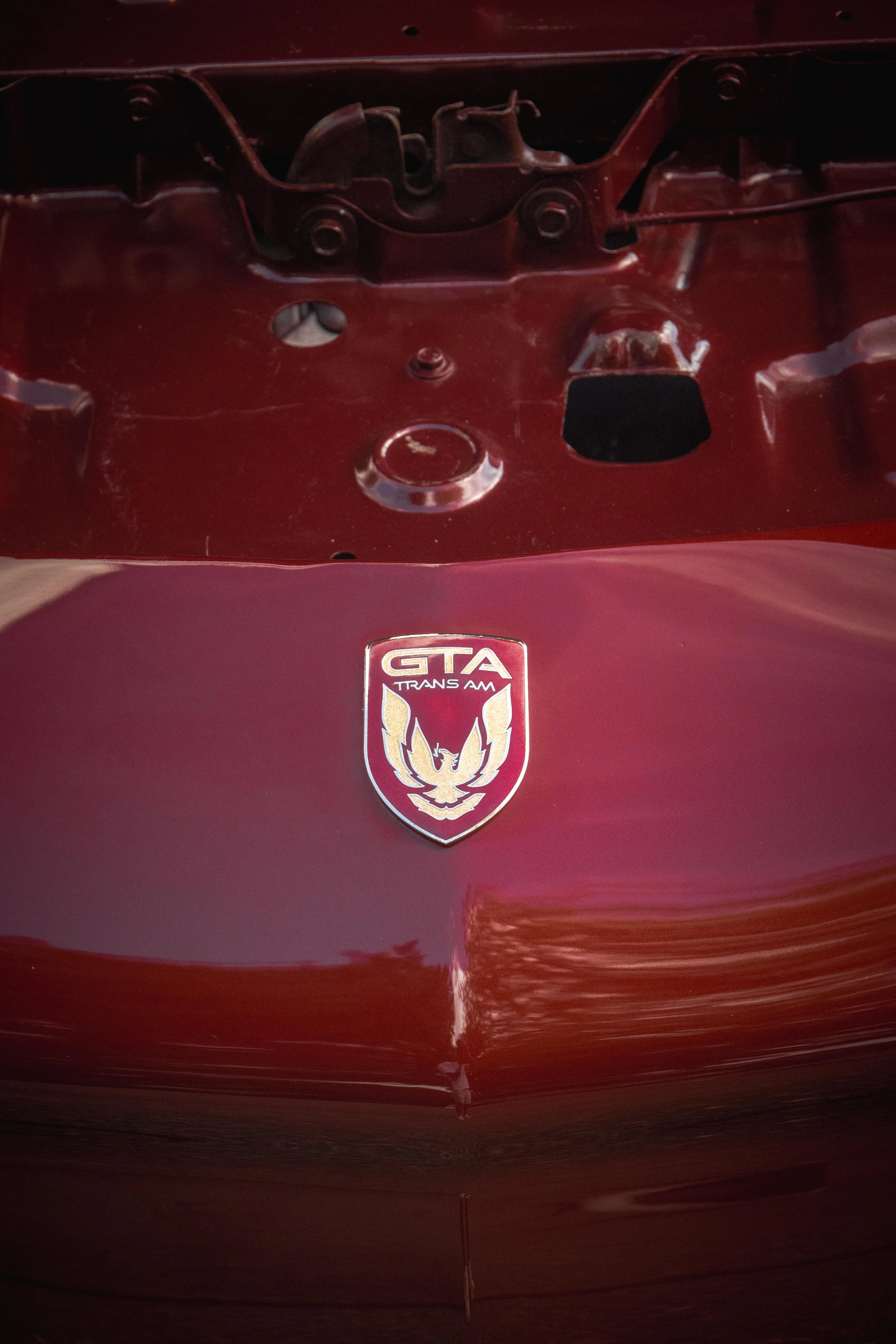 9D9A1515.jpg