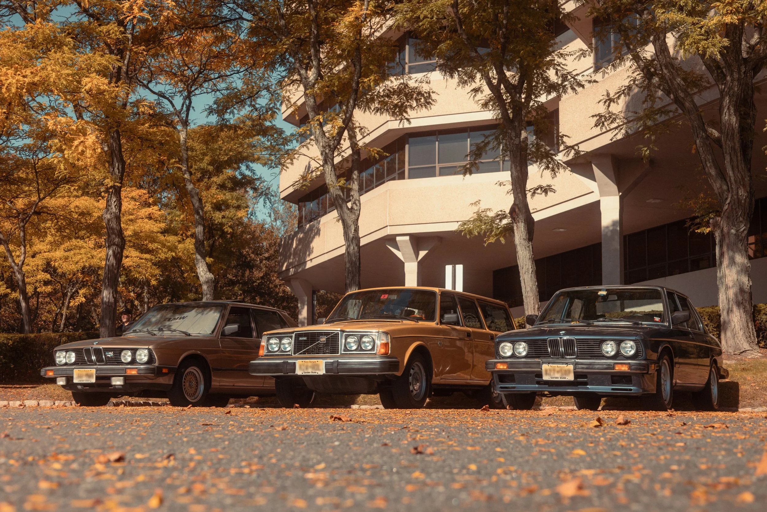 Three vintage cars parked under orange trees in autumn, with a modern building in the background.