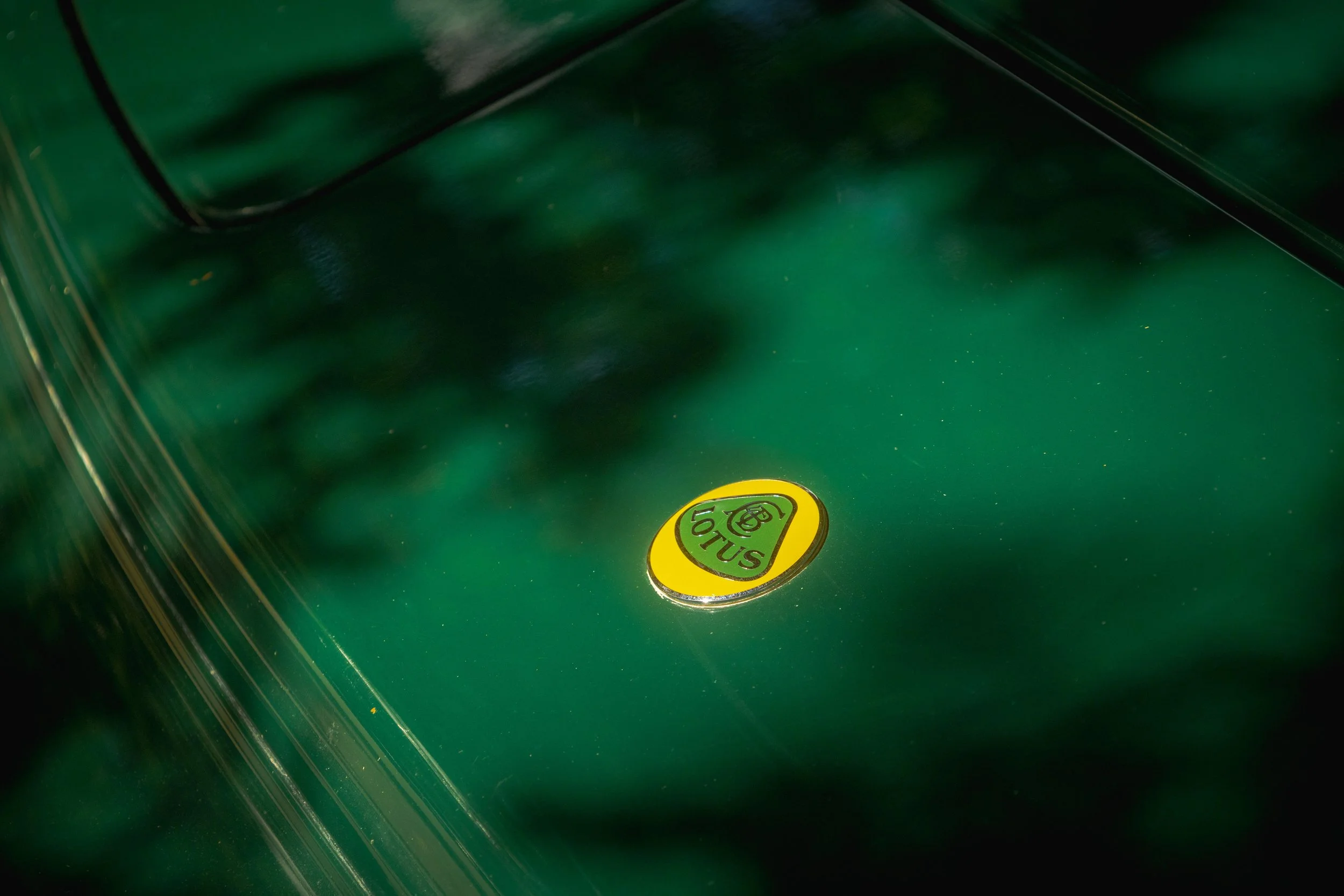 9D9A1999.jpg