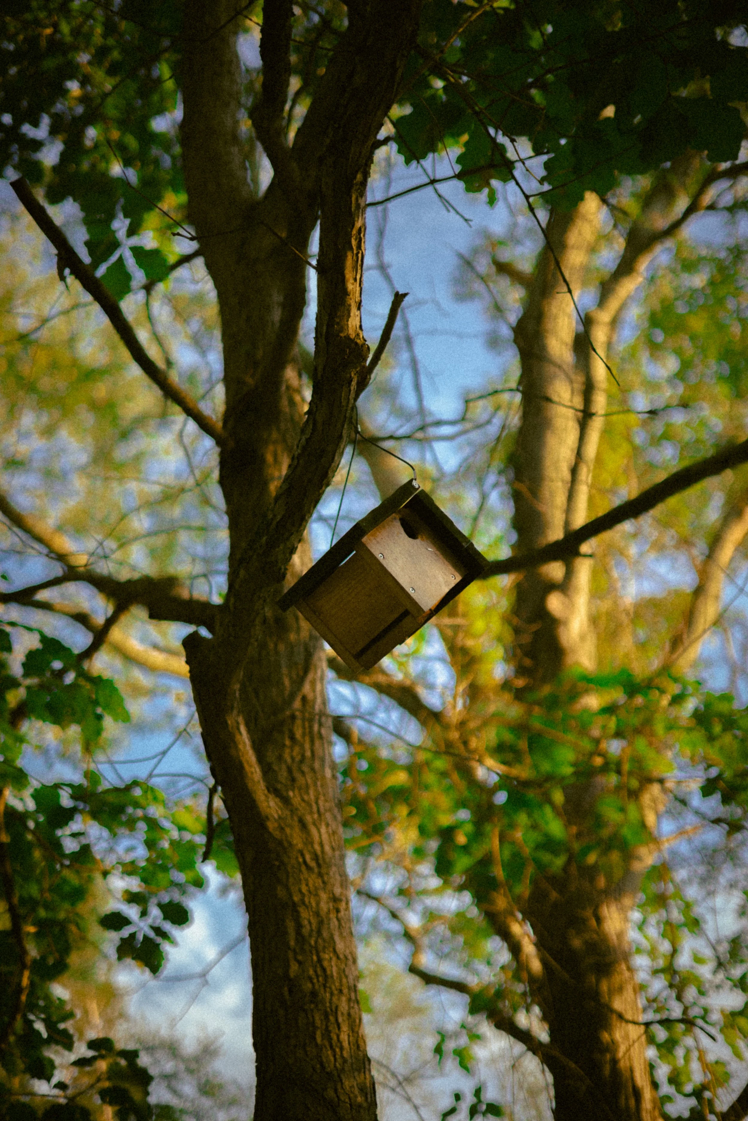 A wooden birdhouse hanging from a branch of a tree with green leaves.