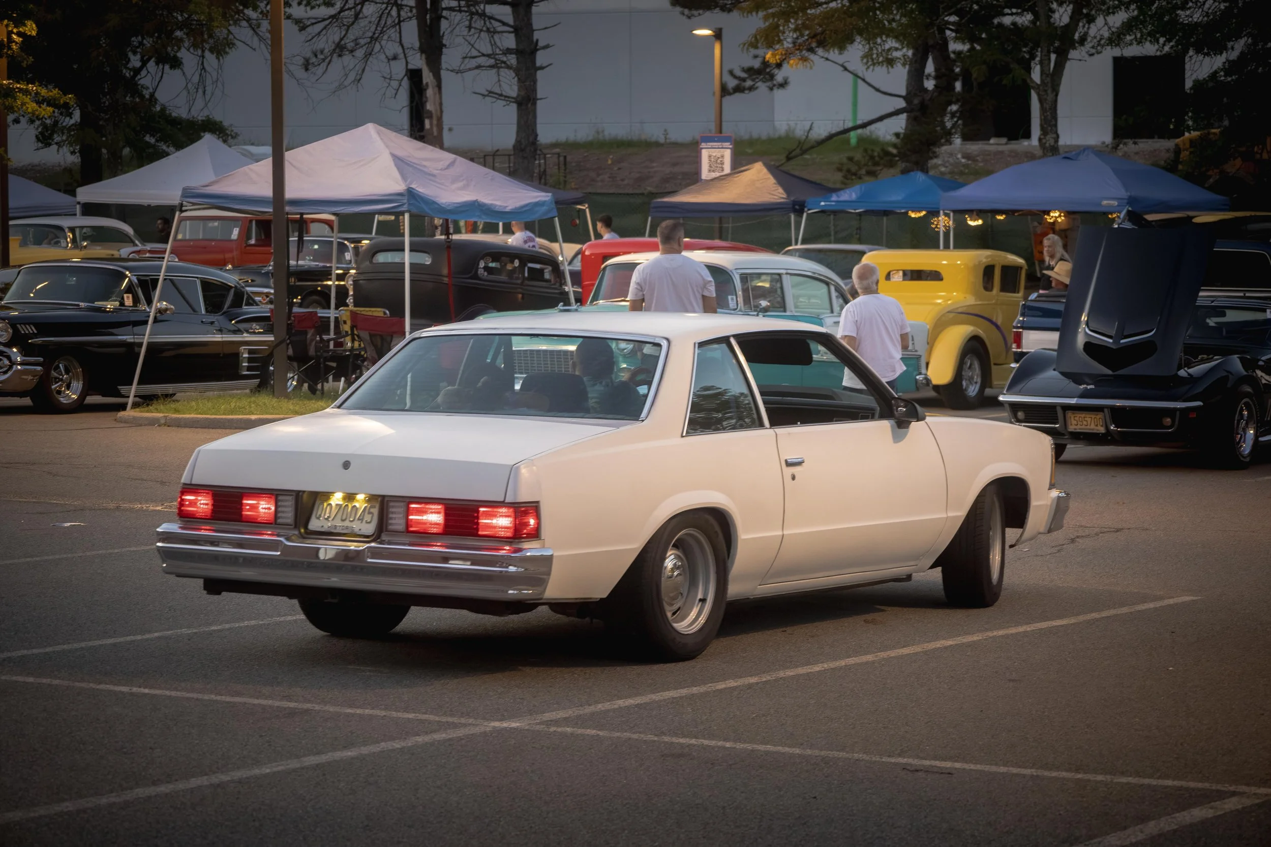 9D9A0738.jpg