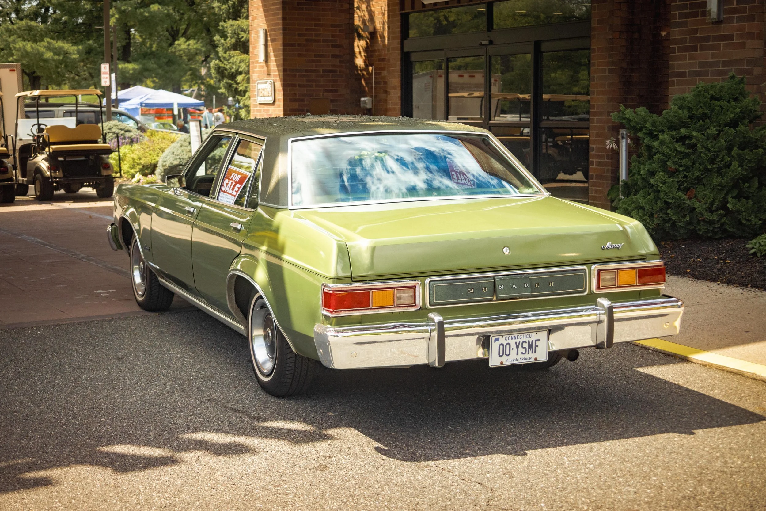 9D9A9750.jpg