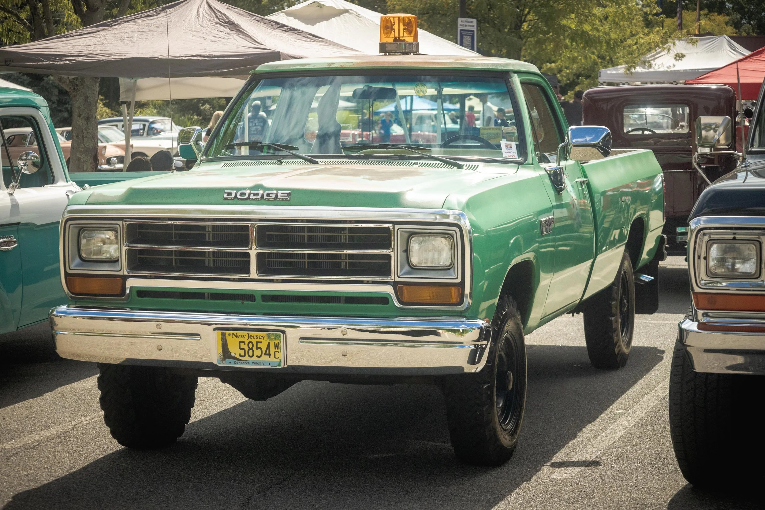 9D9A1546.jpg