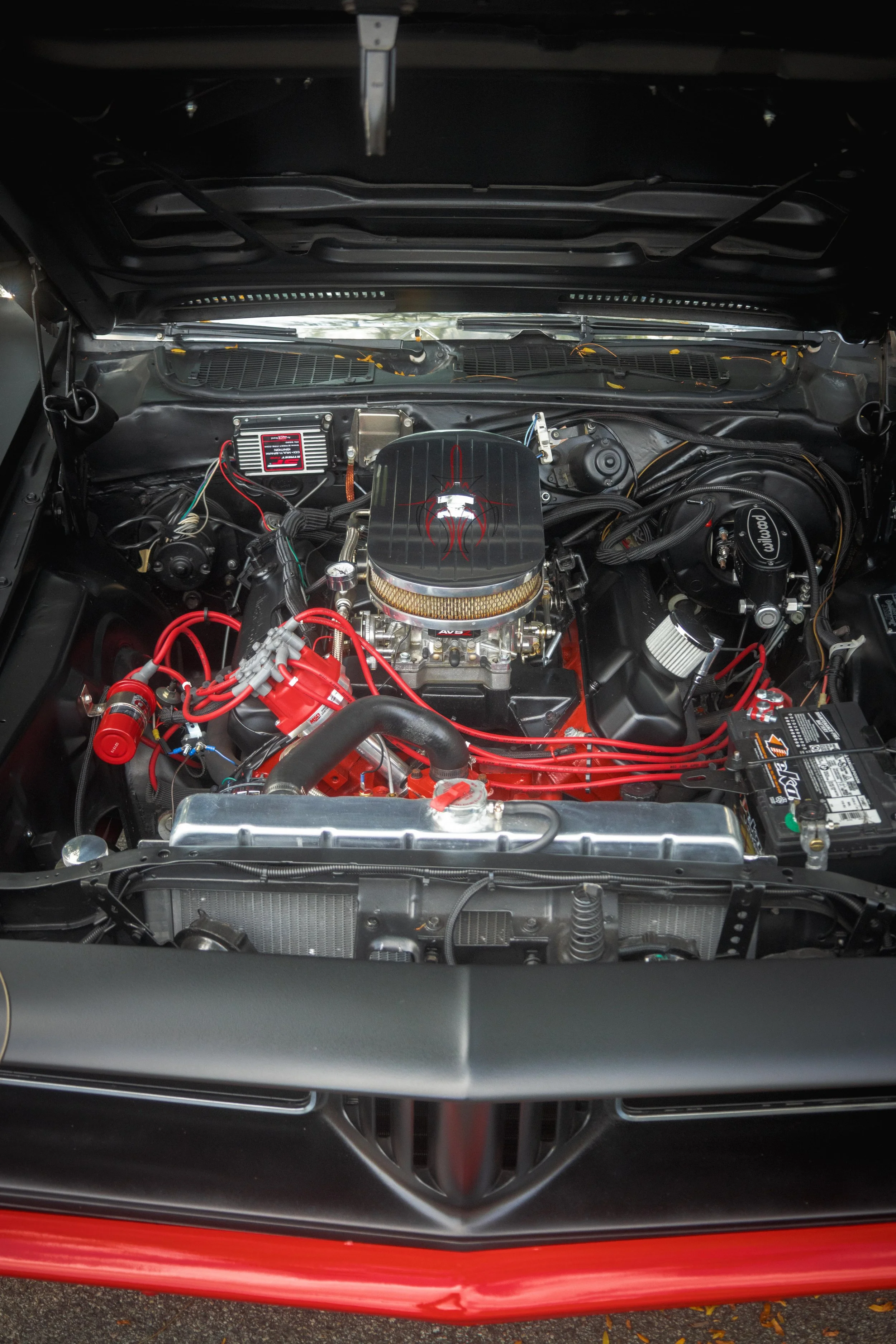 9D9A9778.jpg