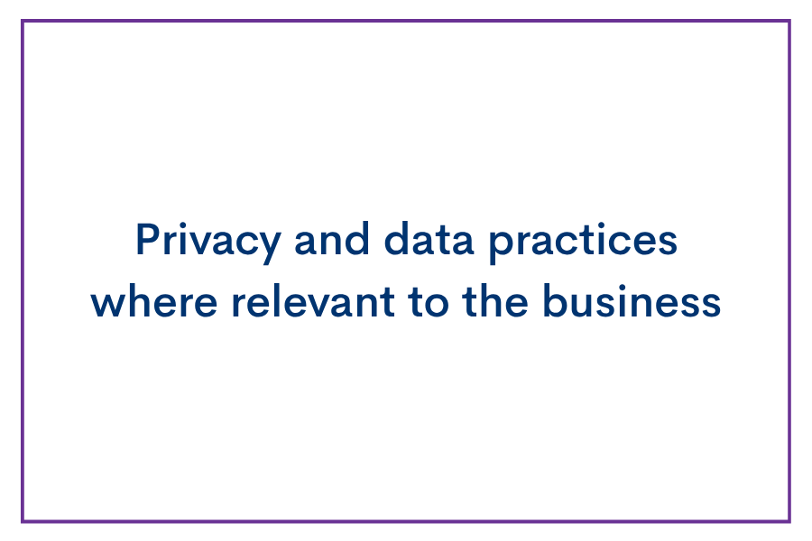 Title slide with purple border that reads "Privacy and data practices where relevant to the business" in blue text