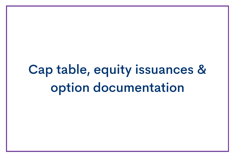 Slide titled 'Cap table, equity issuances & option documentation' with a purple border.