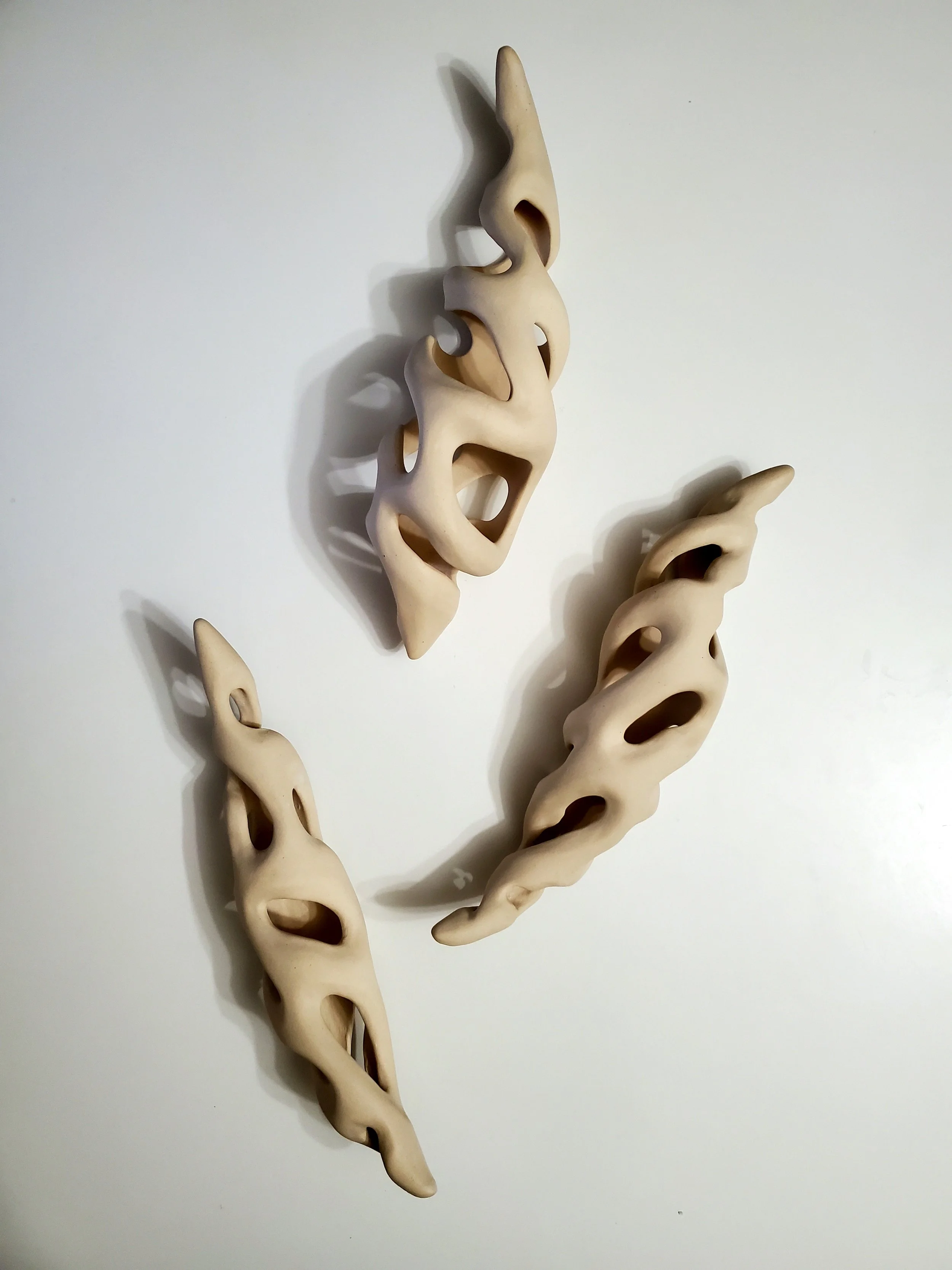 Seeds