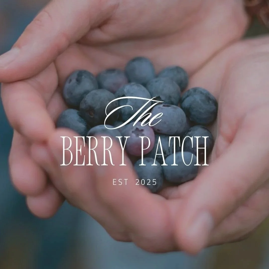 Social media graphics designed for The Berry Patch by Lily Taylor Co.