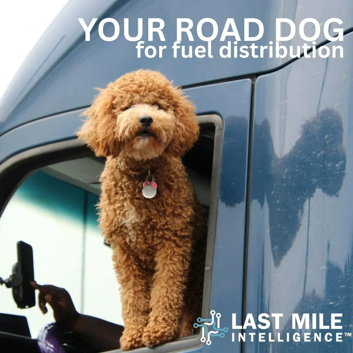 Social media graphics designed for Last Mile Intelligence by Lily Taylor Co.