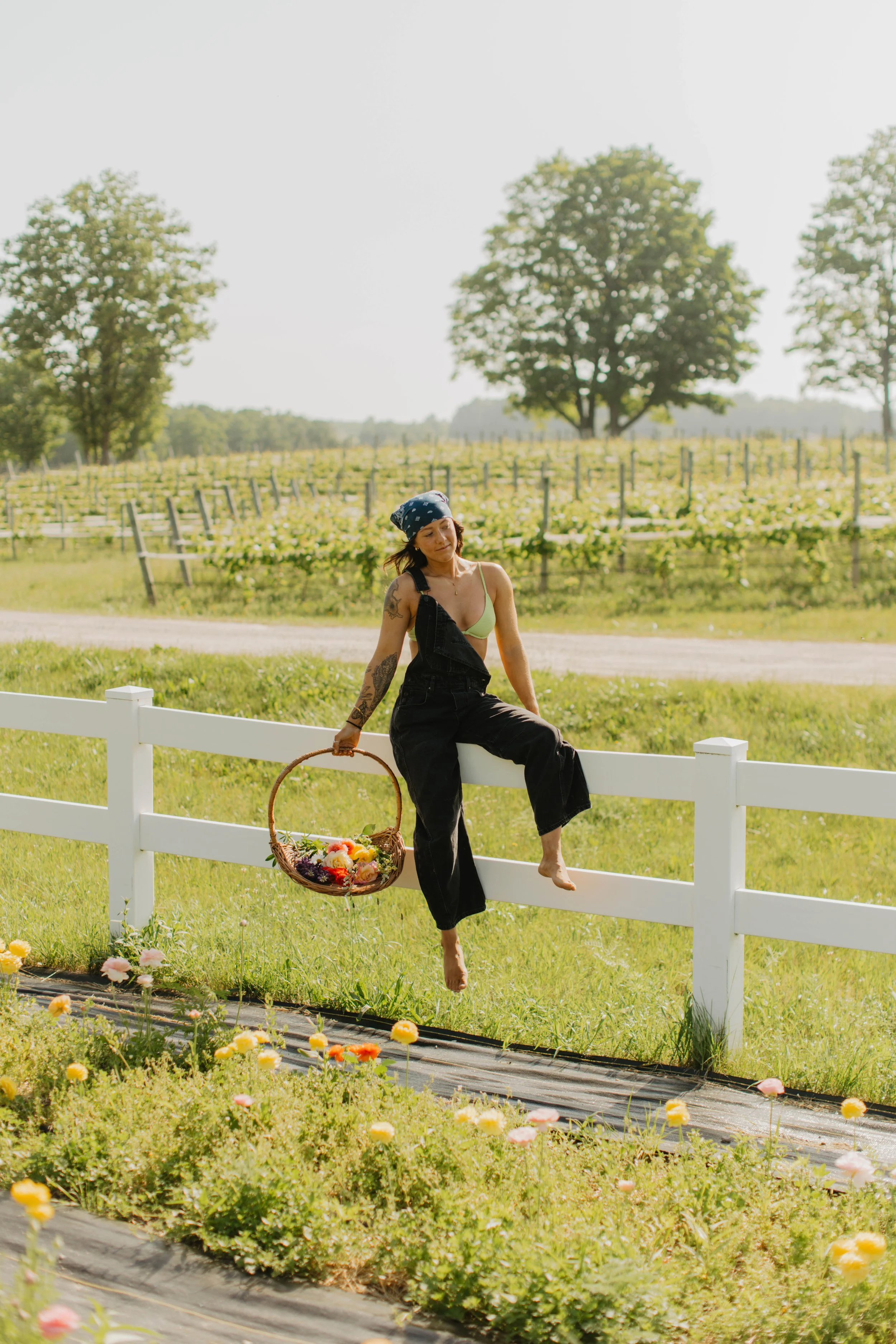 A woman sitting on a white fence in a field, holding a basket of flowers, with a vineyard and trees in the background on a sunny day.
